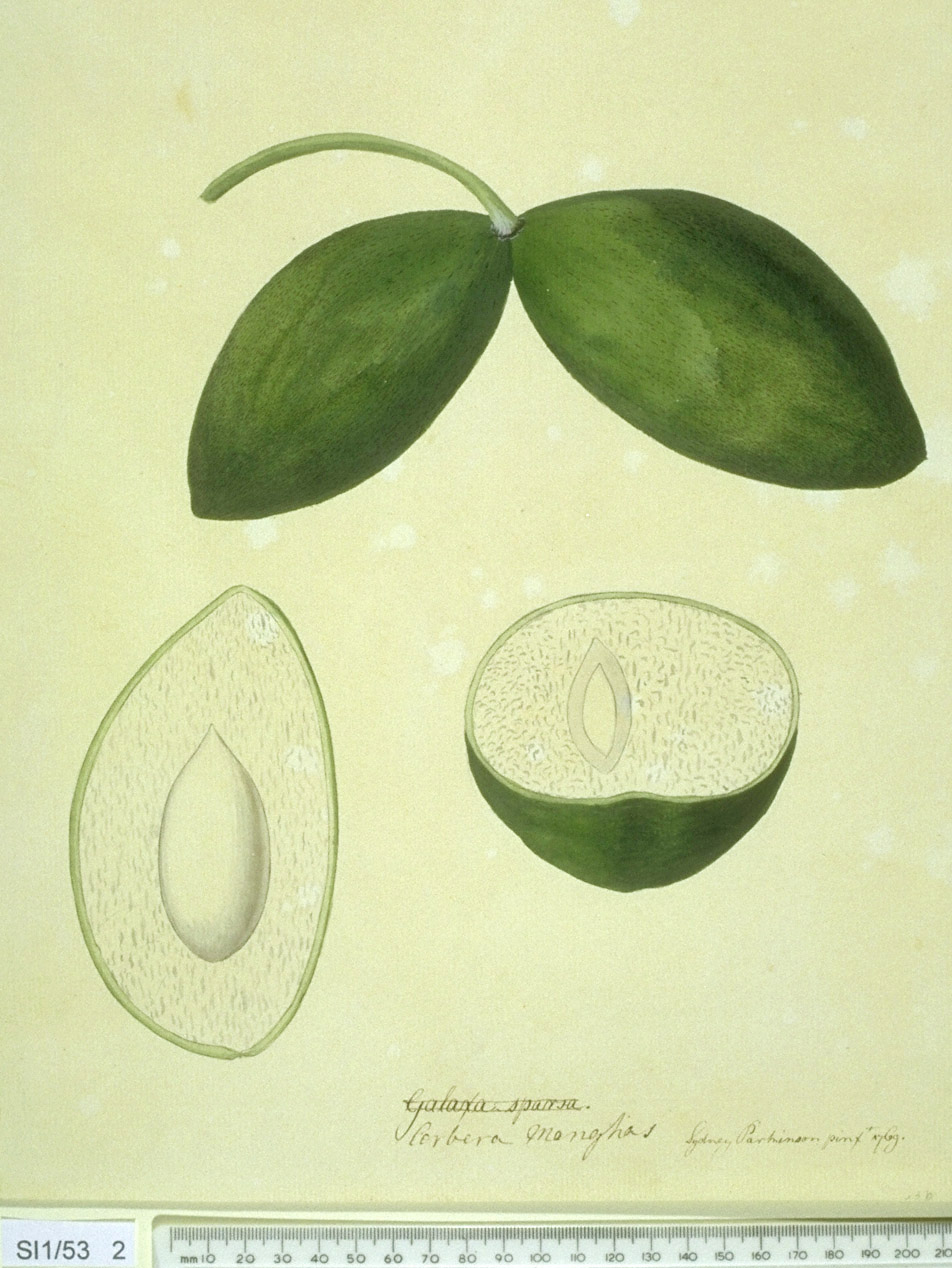 no full size  illustration available (3a)