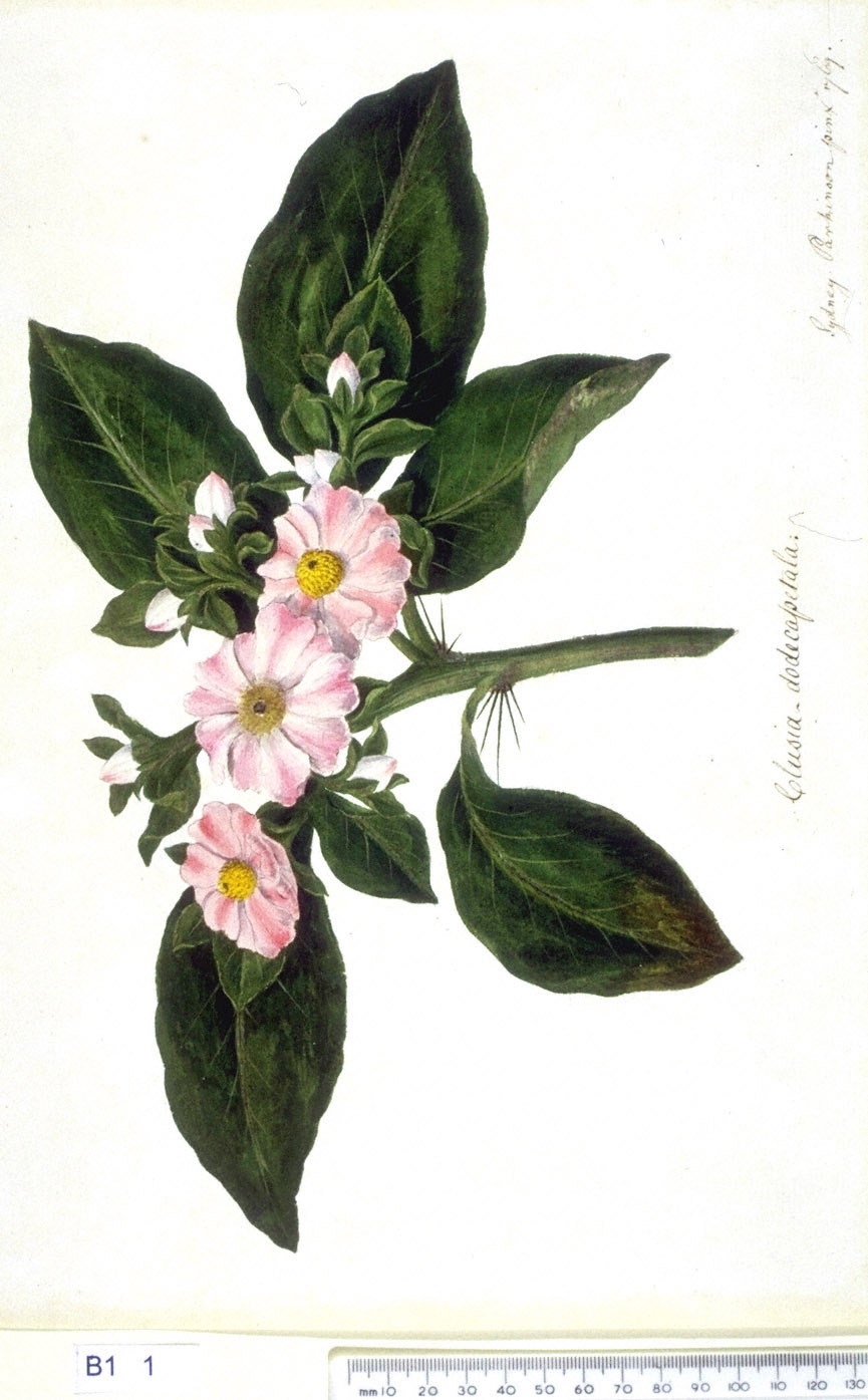 no full size  illustration available (3a)