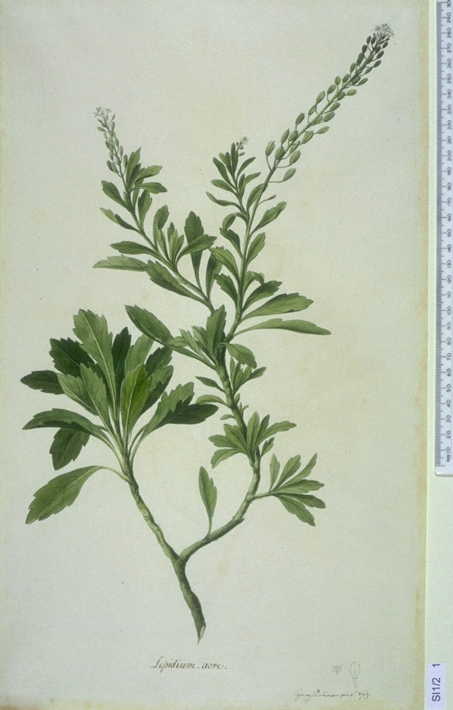 no full size  illustration available (3a)