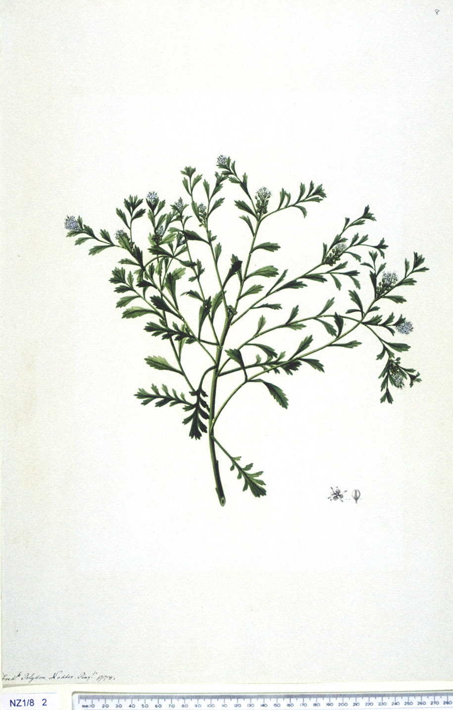 no full size  illustration available (3a)