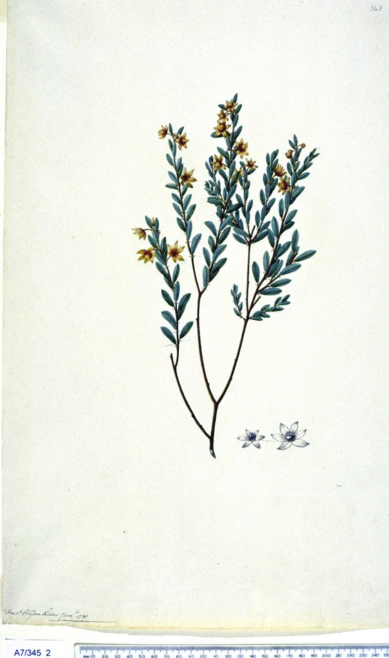 no full size  illustration available (3a)