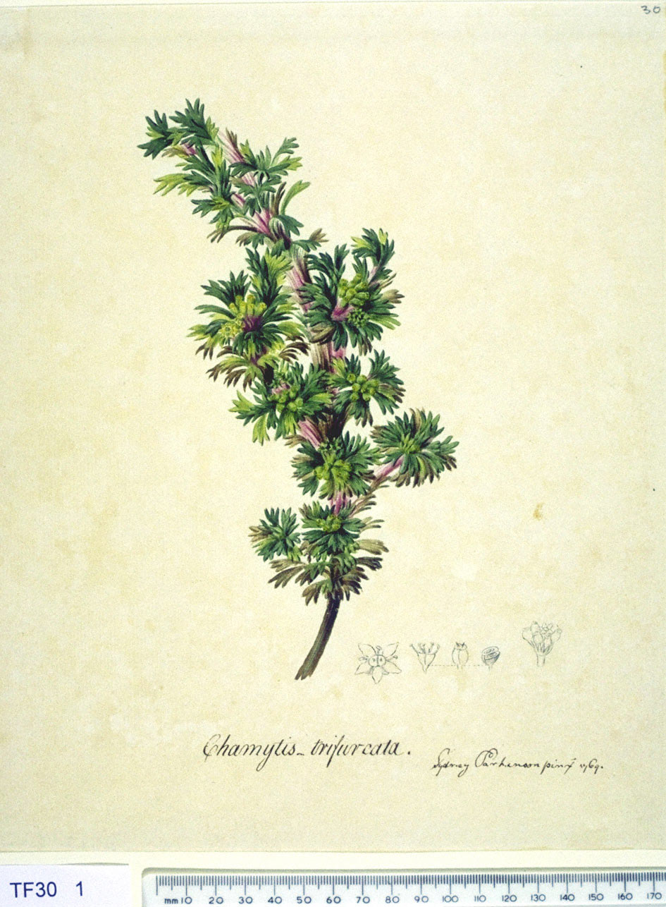 no full size  illustration available (3a)