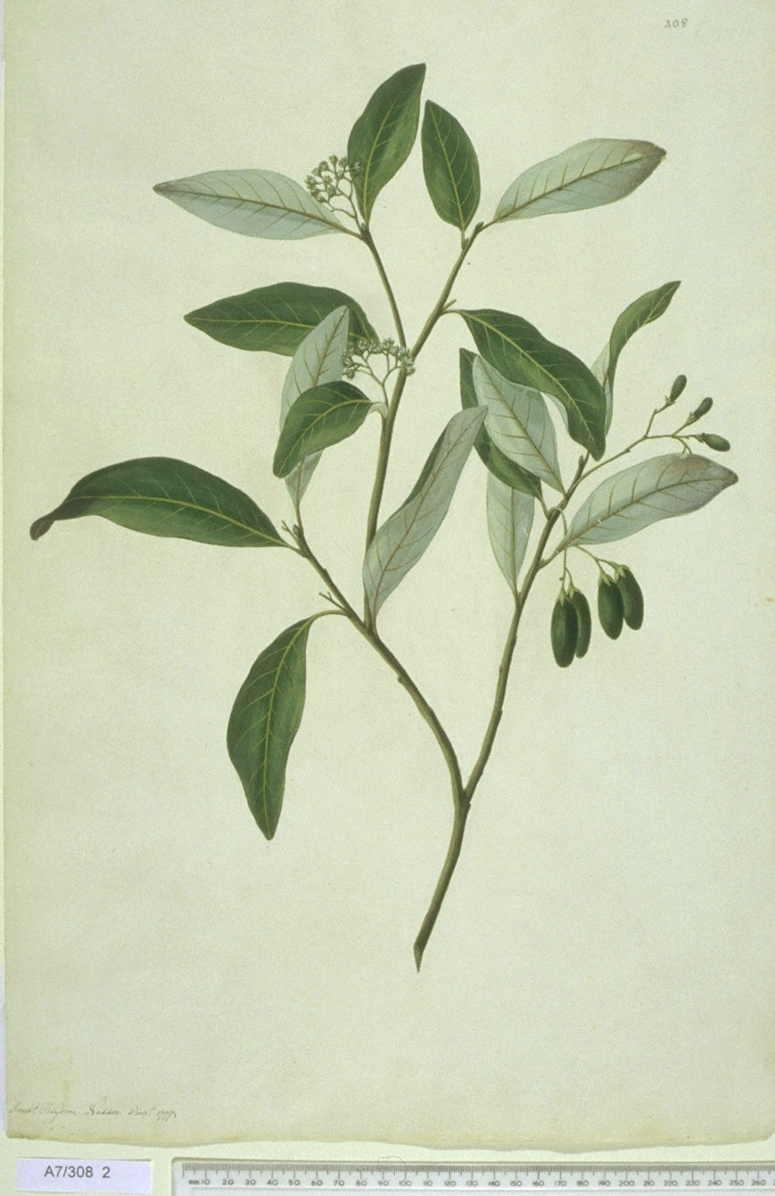 no full size  illustration available (3a)