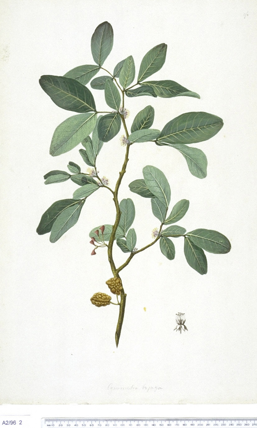 no full size  illustration available (3a)