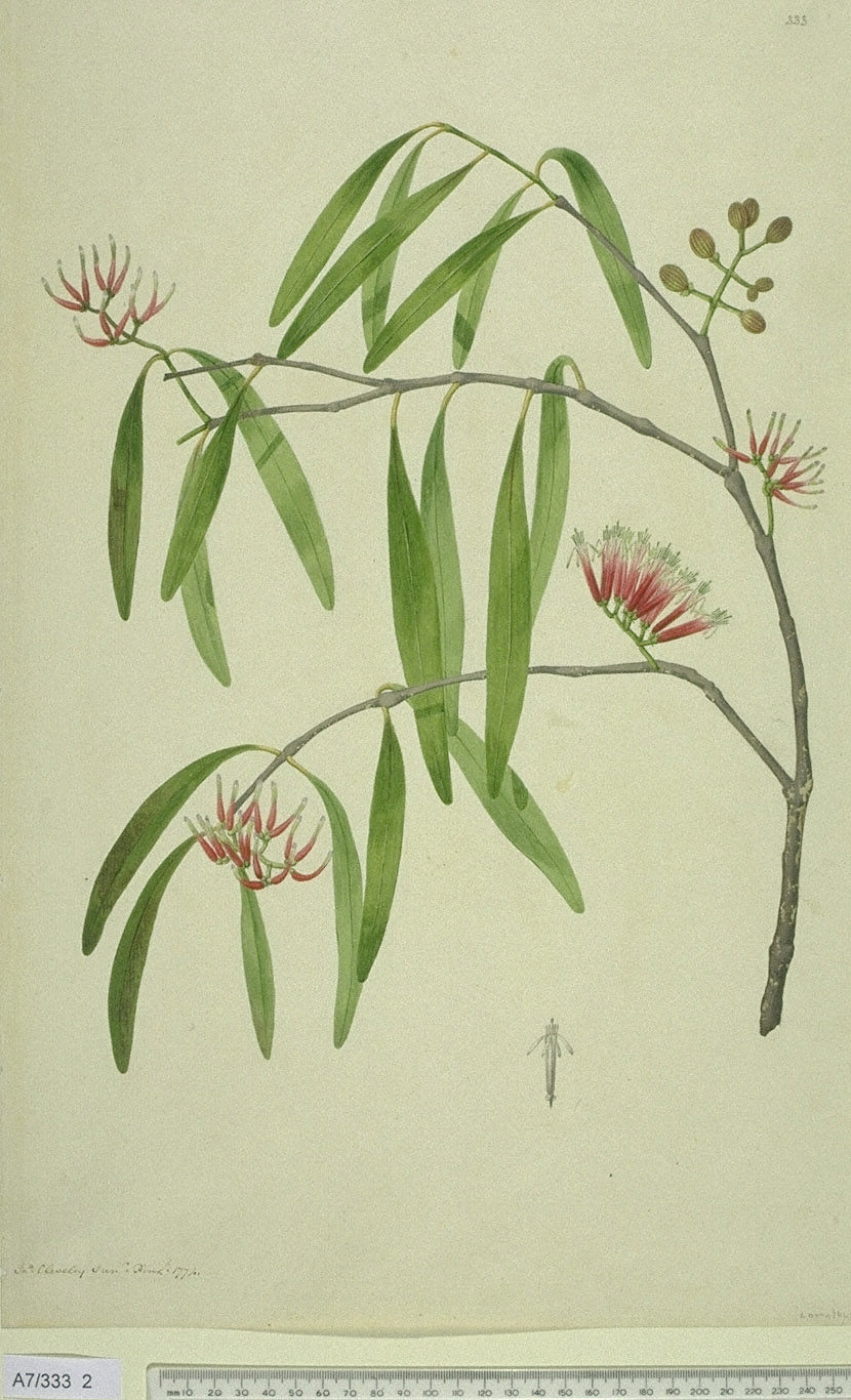 no full size  illustration available (3a)