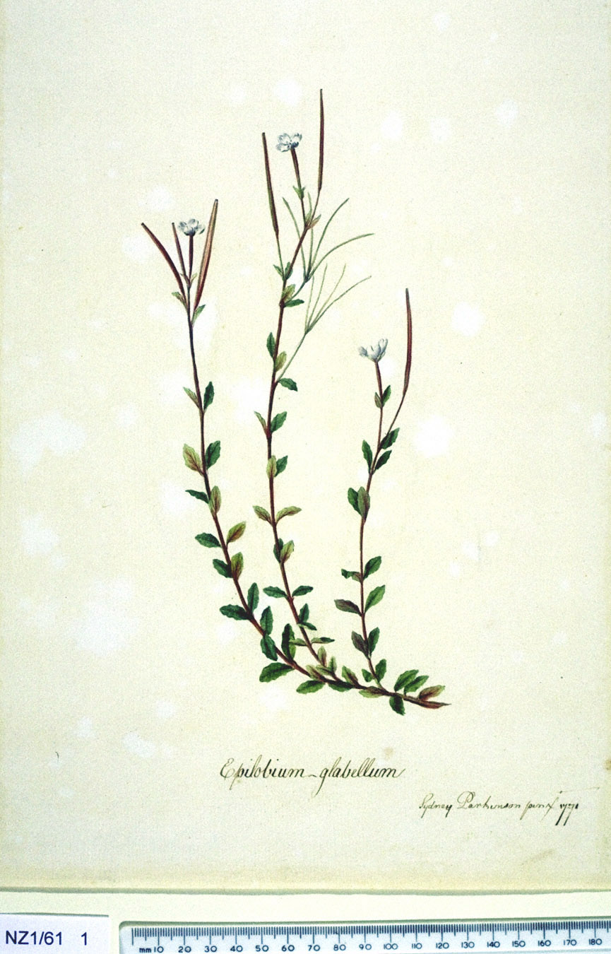 no full size  illustration available (3a)