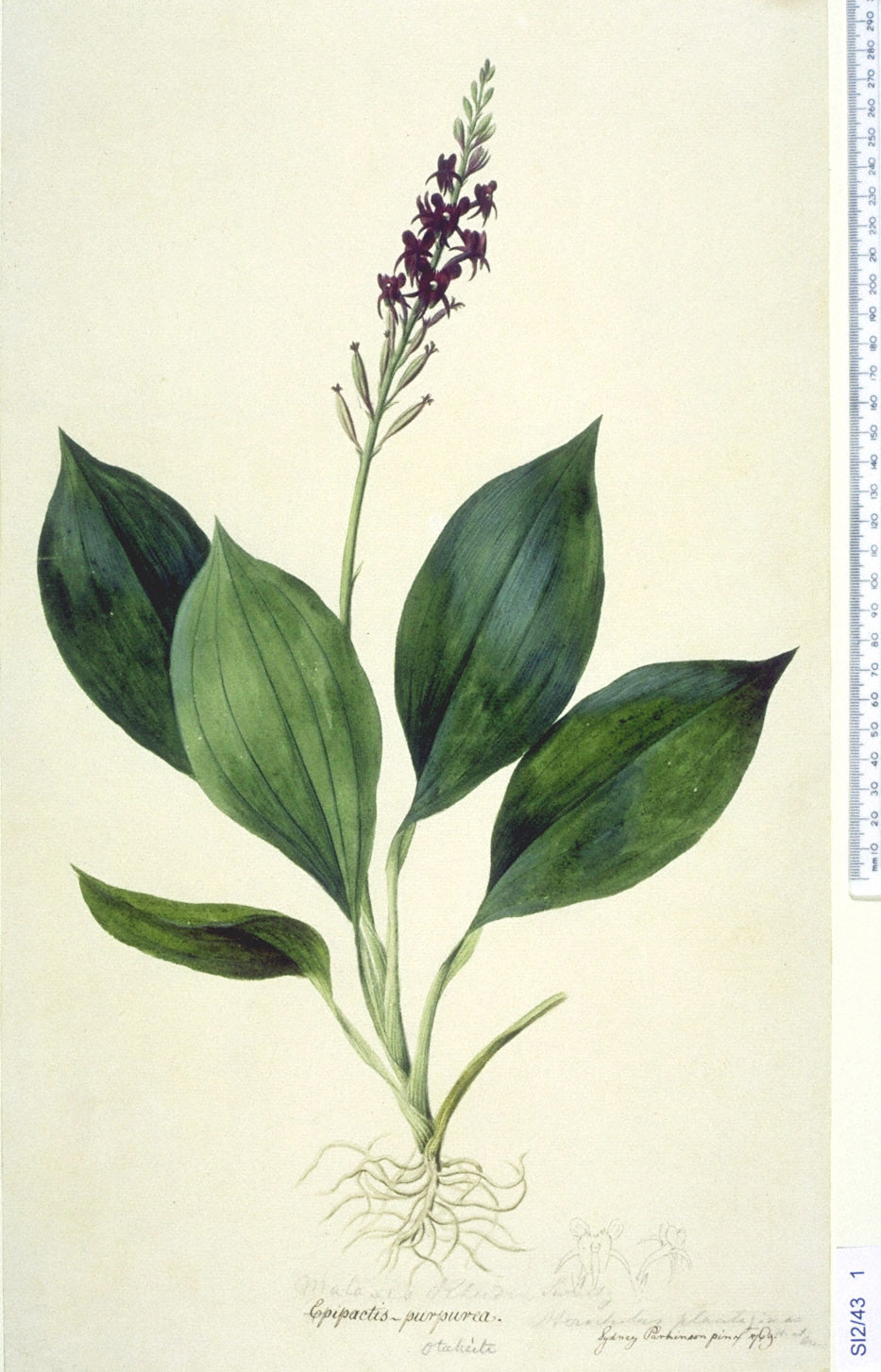 no full size  illustration available (3a)