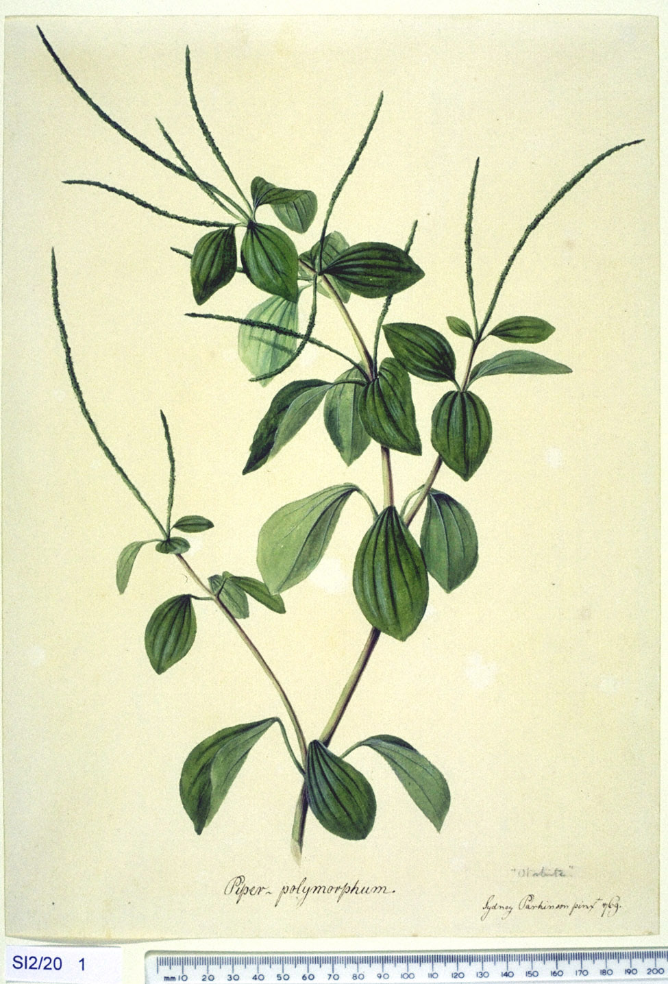 no full size  illustration available (3a)