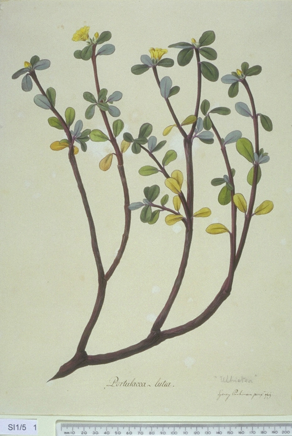 no full size  illustration available (3a)