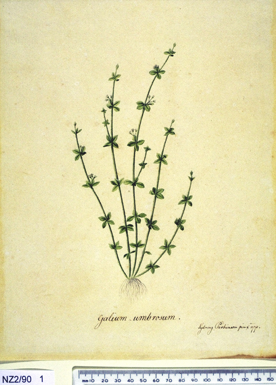 no full size  illustration available (3a)