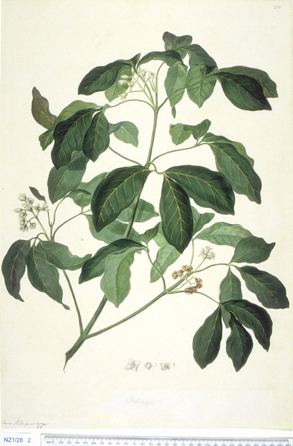 no full size  illustration available (3a)