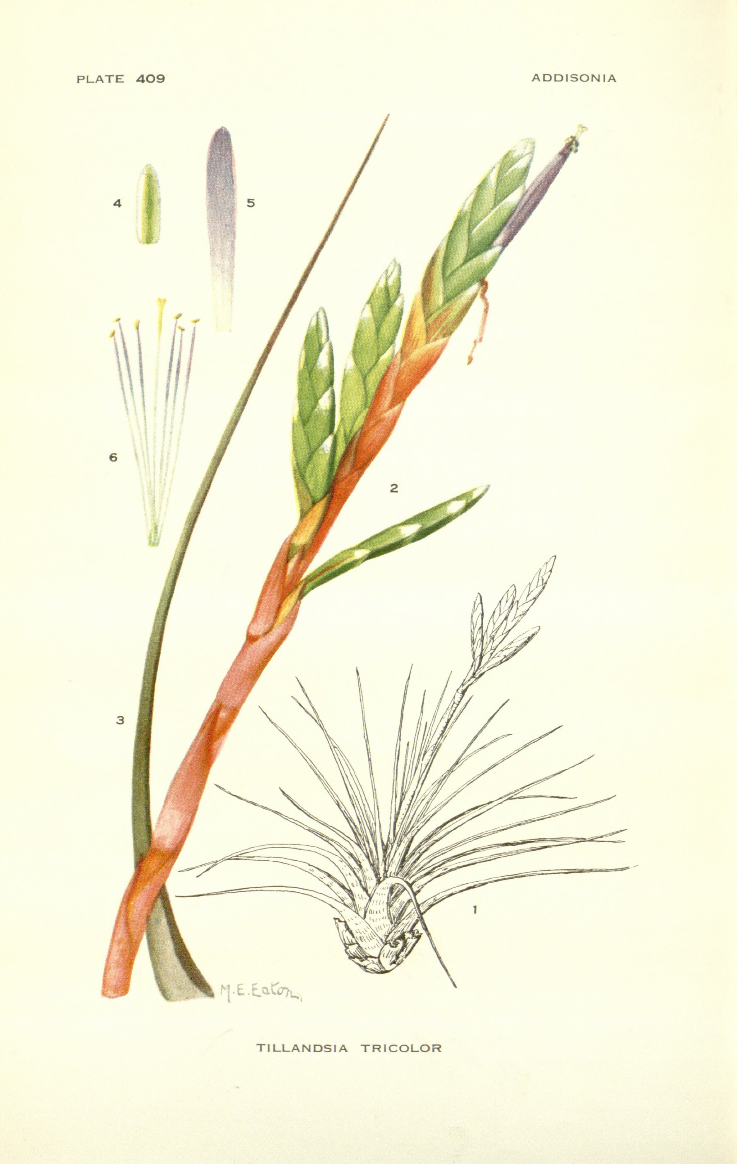 no full size  illustration available (3a)