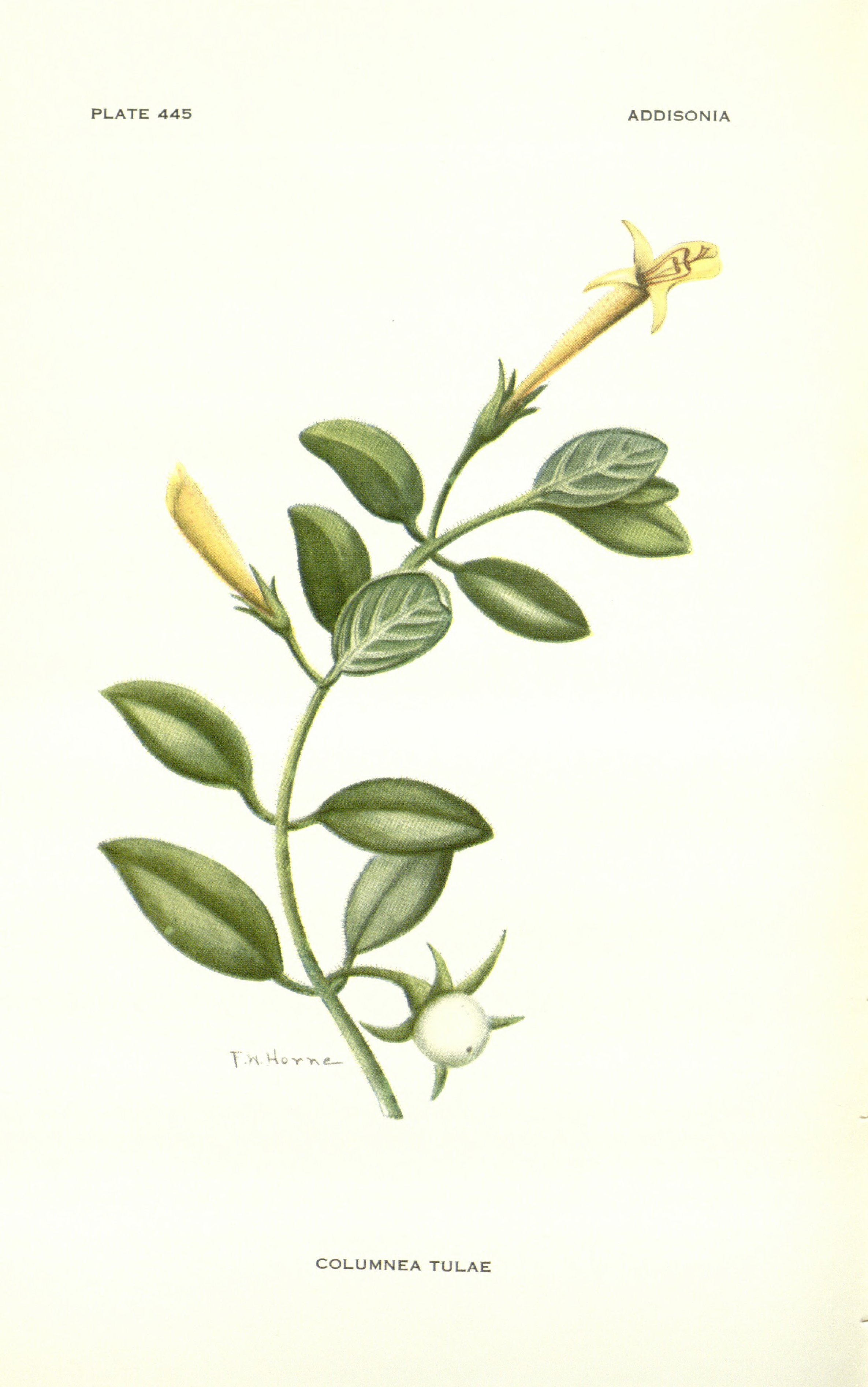 no full size  illustration available (3a)