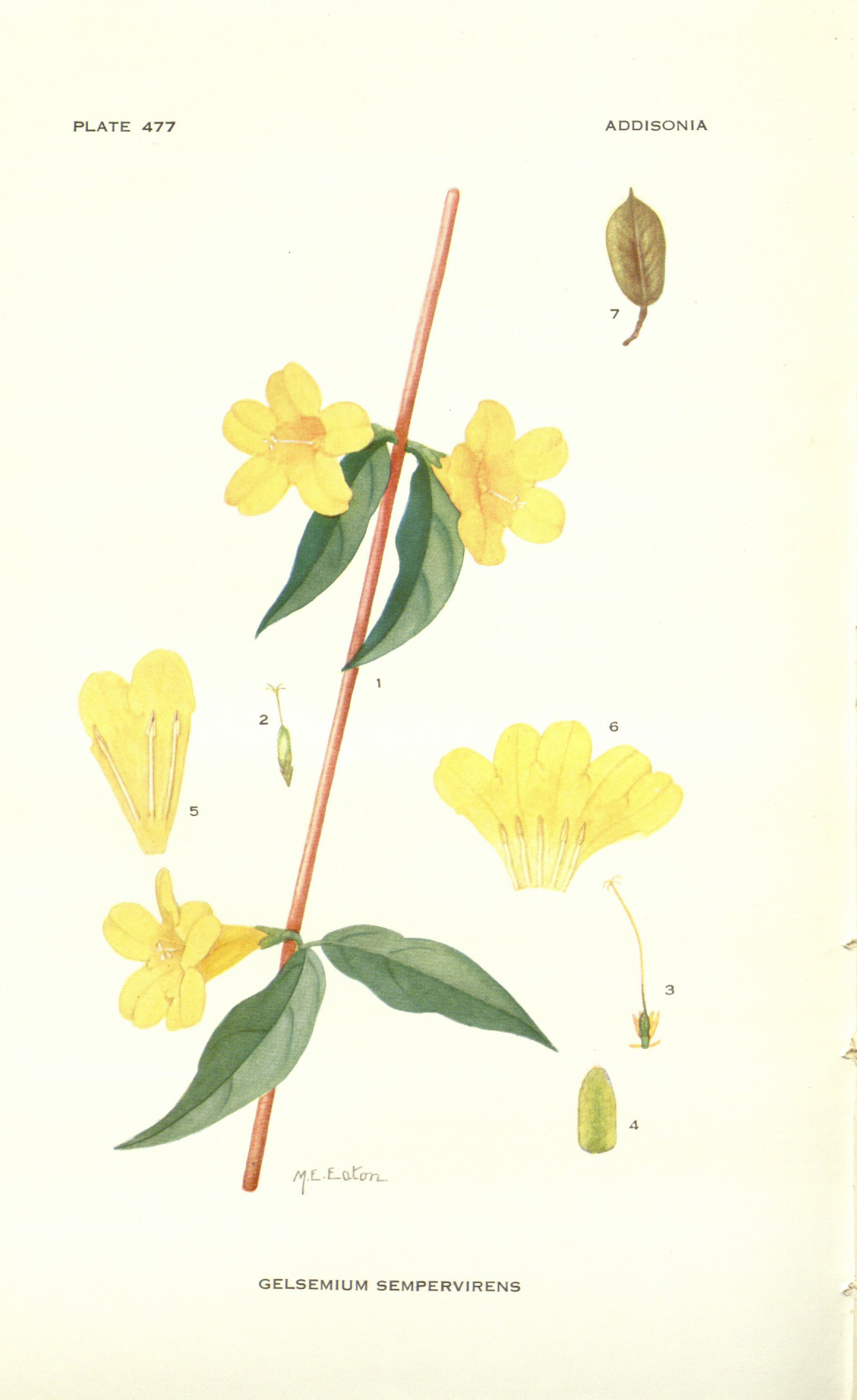 no full size  illustration available (3a)