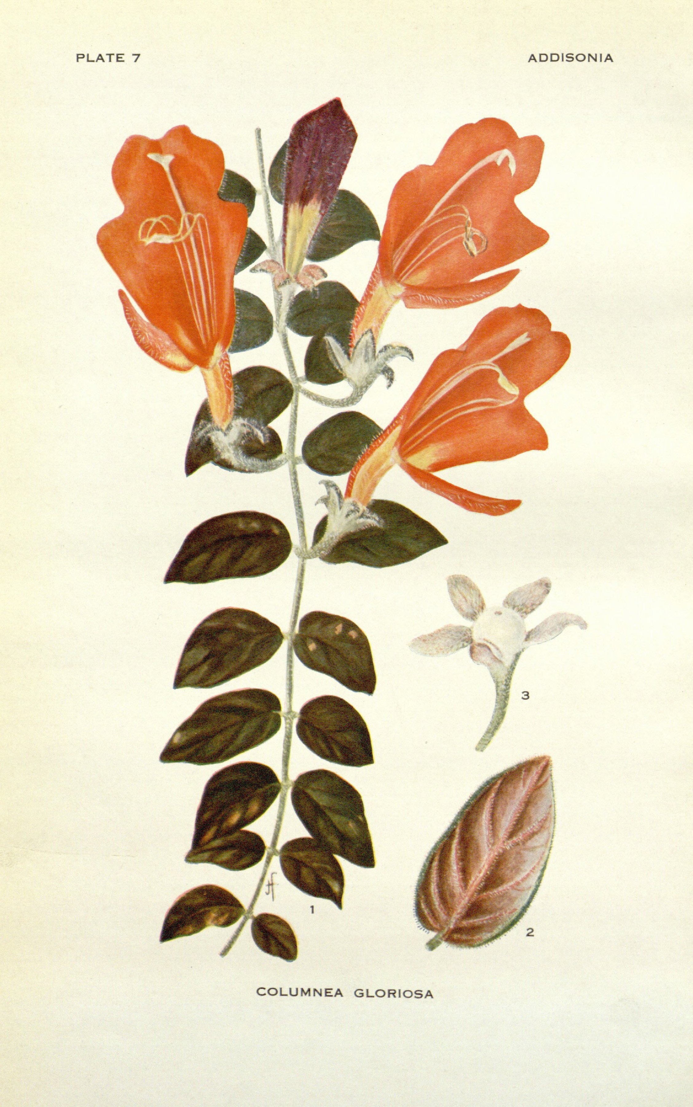 no full size  illustration available (3a)