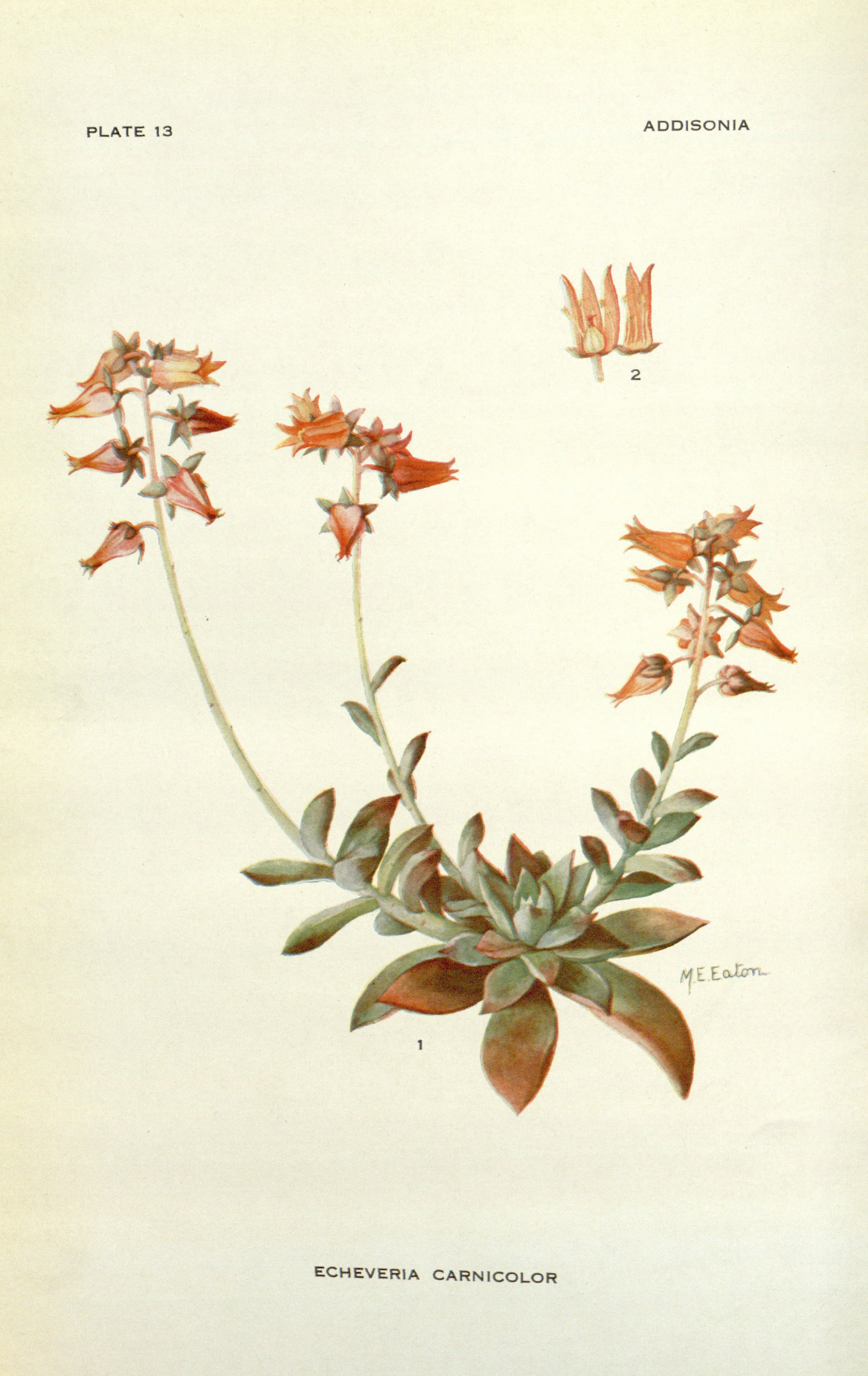 no full size  illustration available (3a)