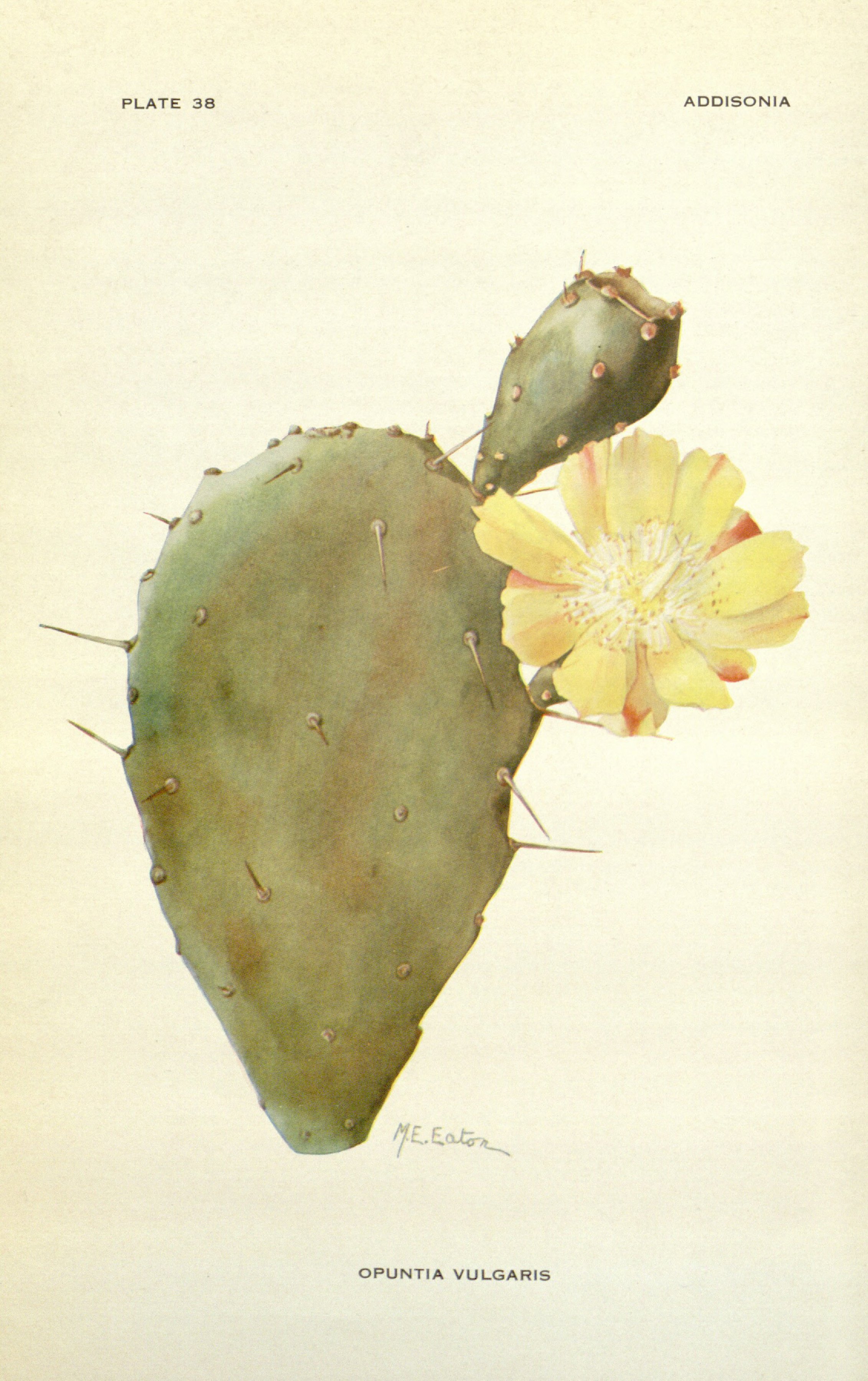 no full size  illustration available (3a)