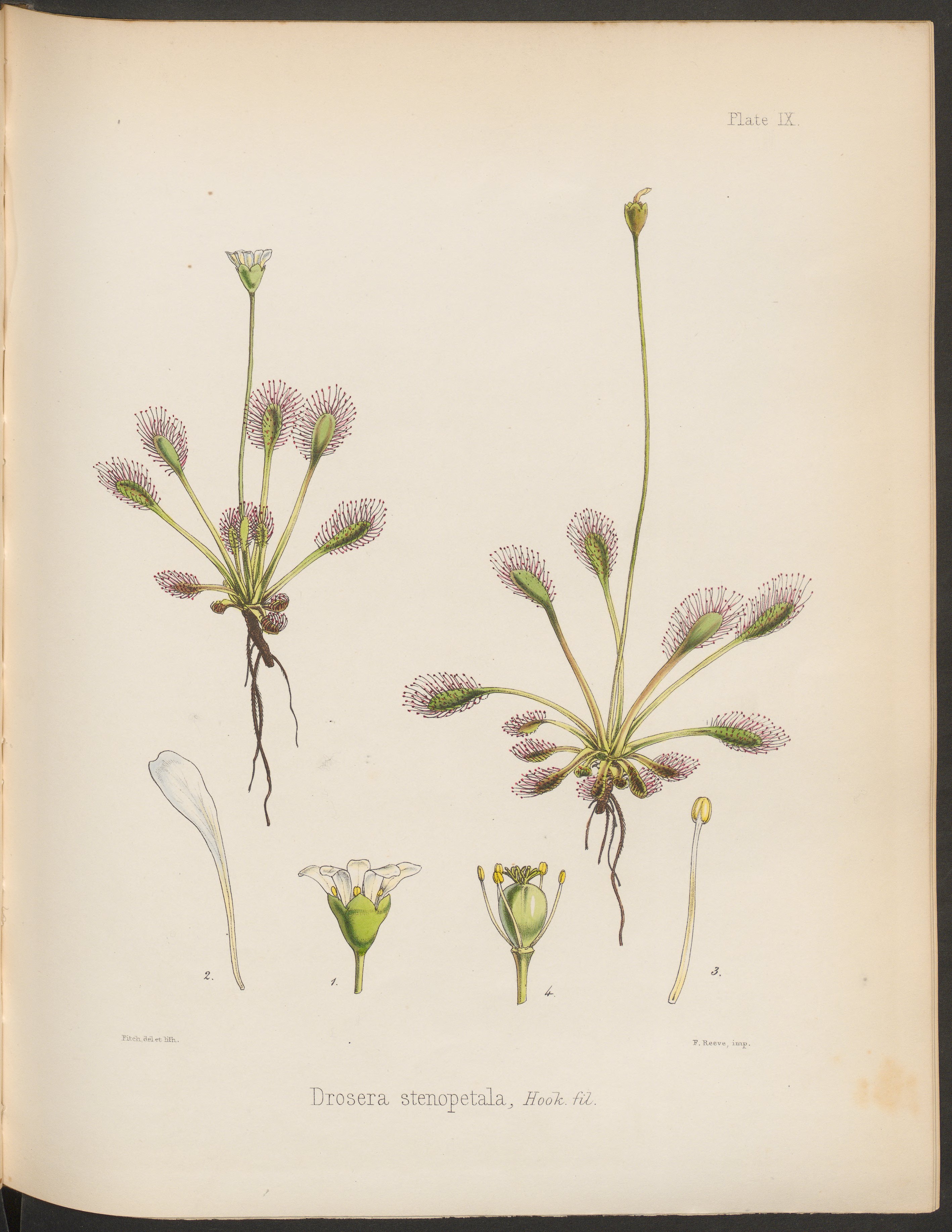 no full size  illustration available (3a)