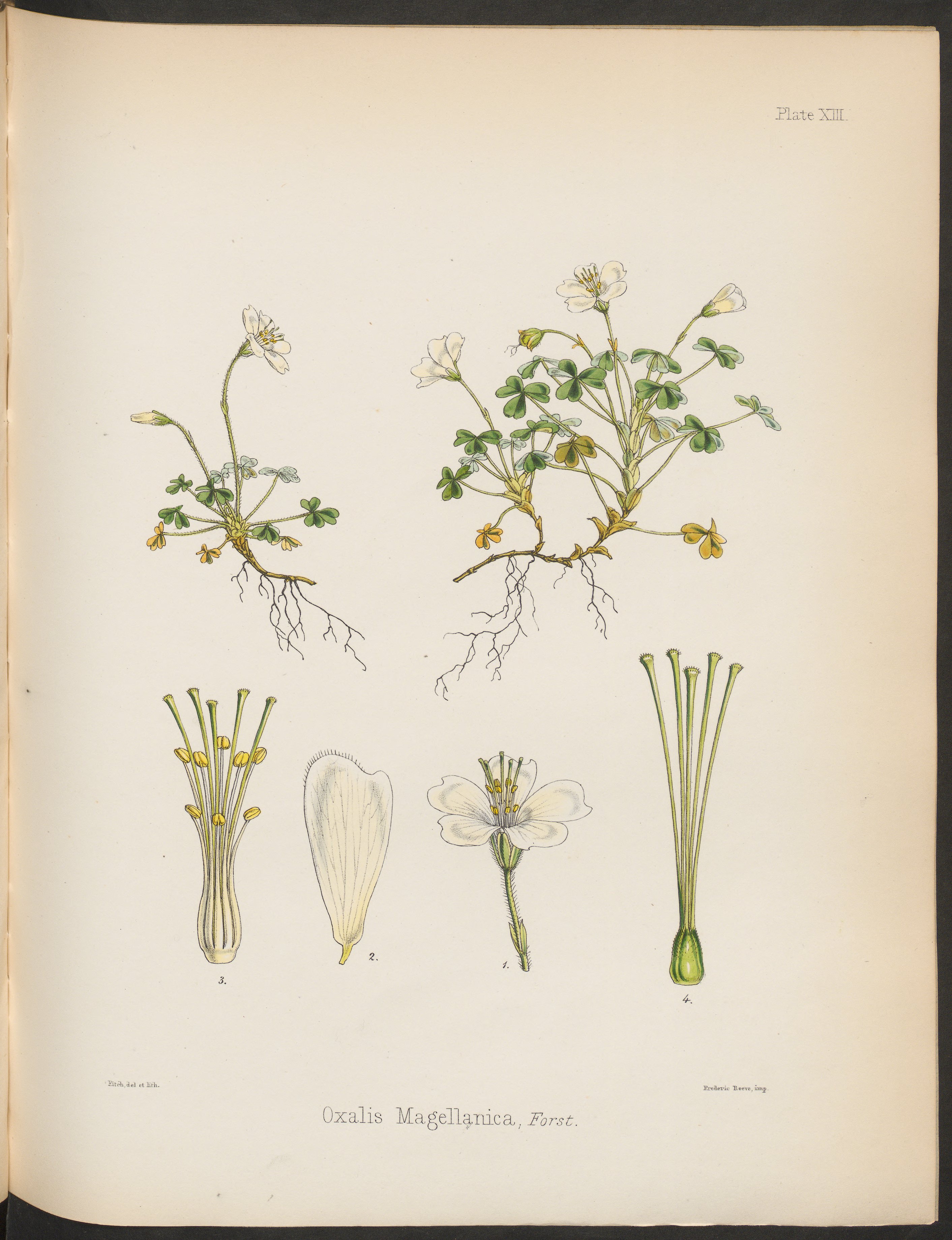 no full size  illustration available (3a)