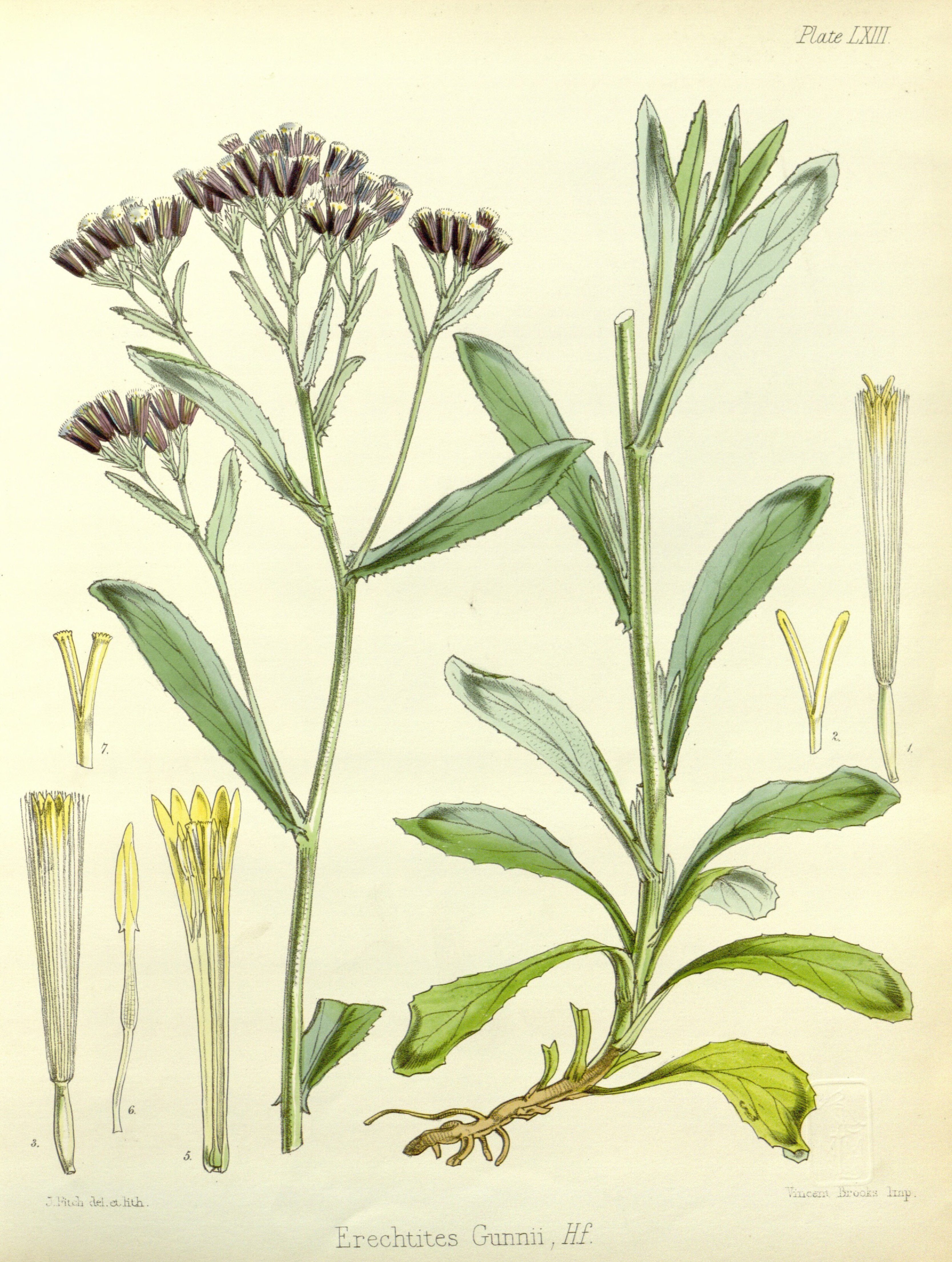 no full size  illustration available (3a)