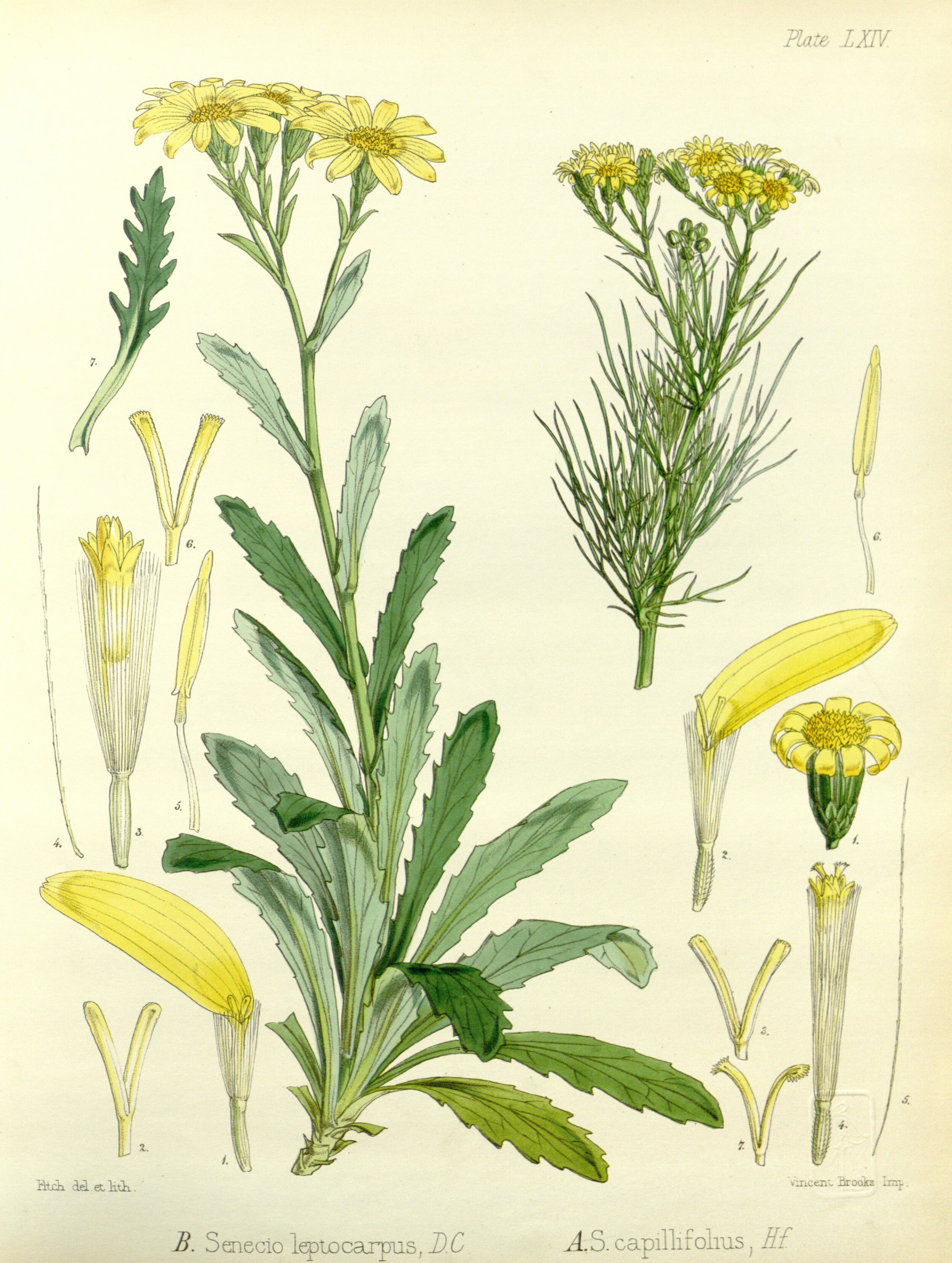 no full size  illustration available (3a)