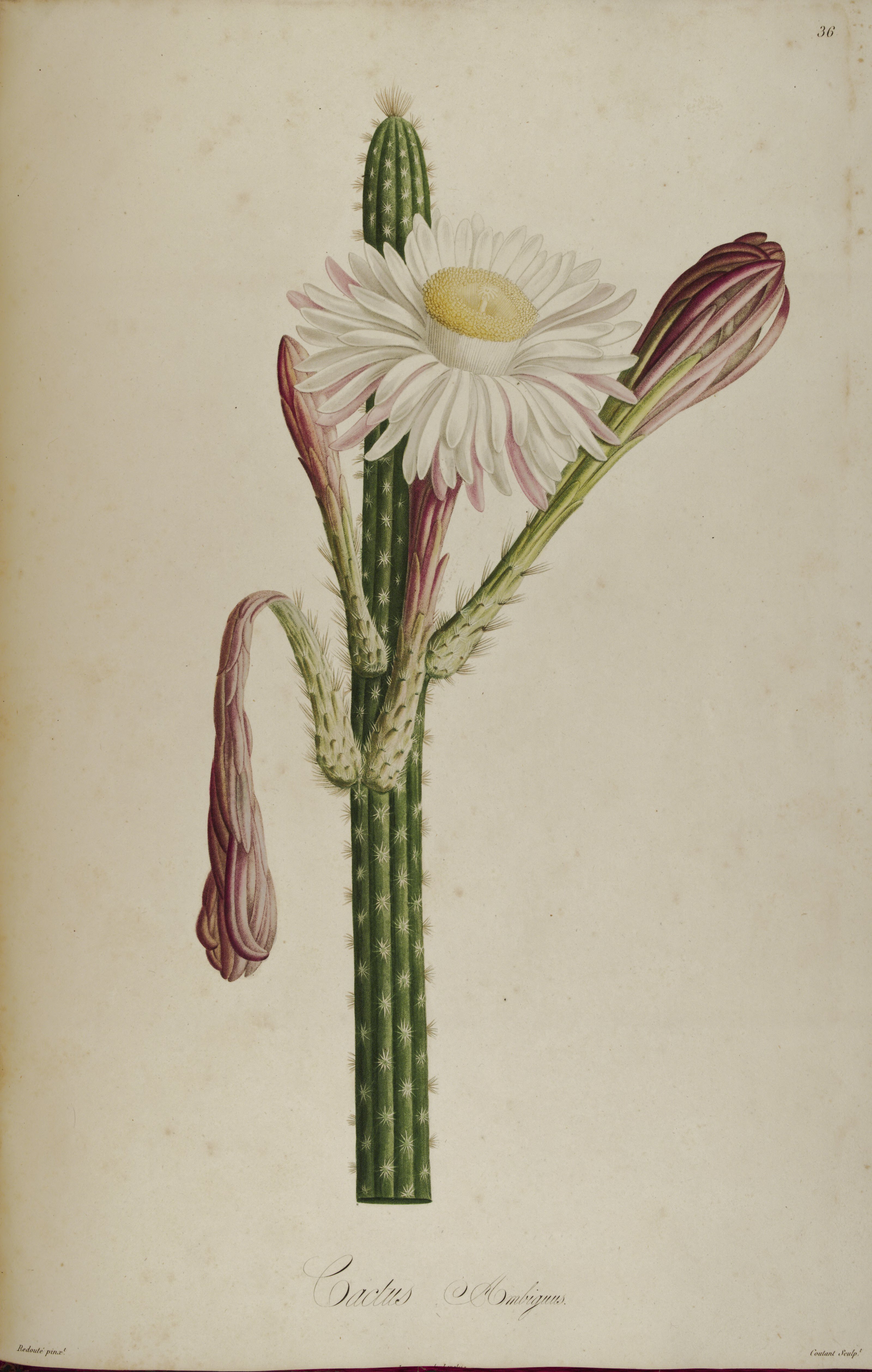 no full size  illustration available (3a)