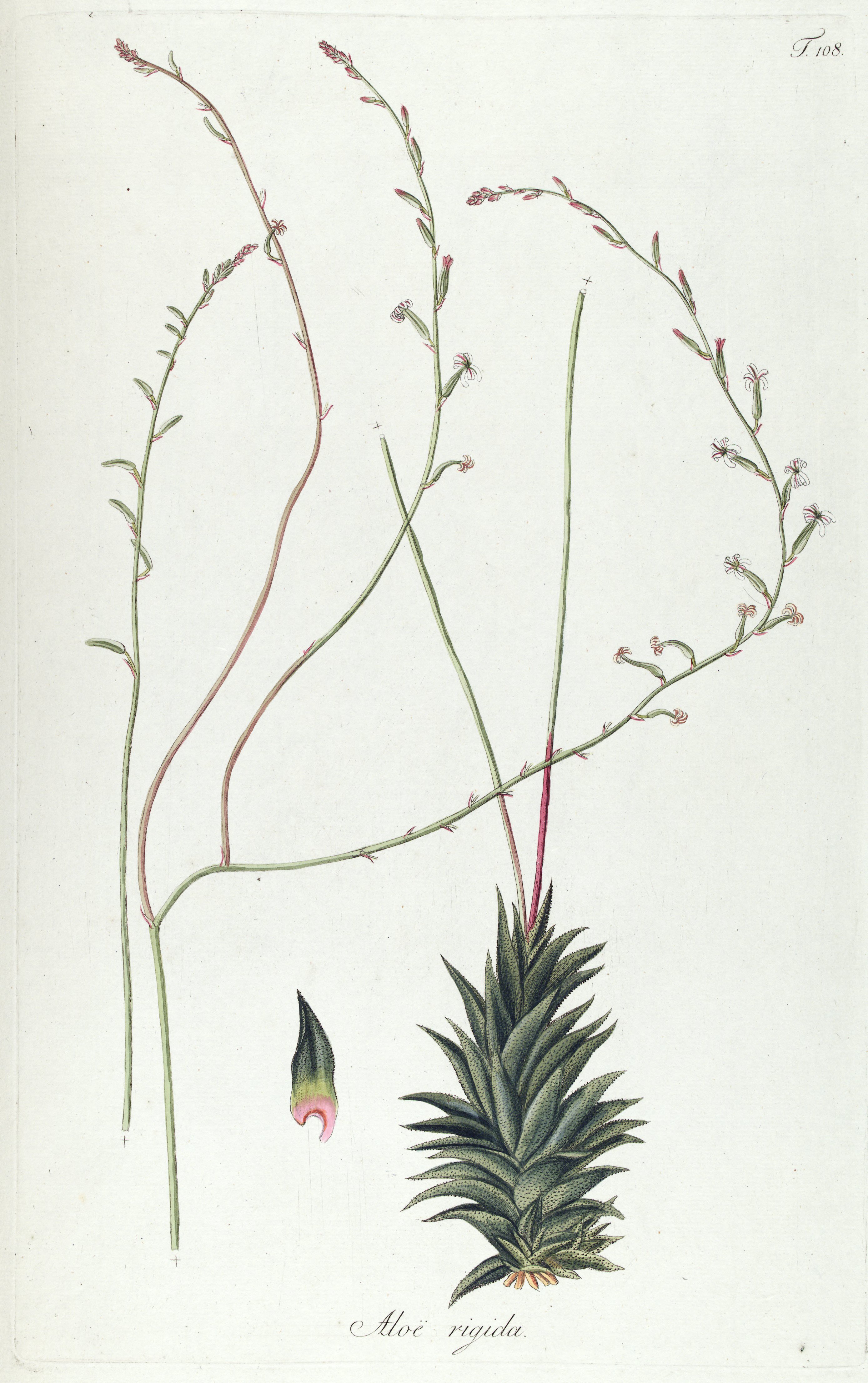 no full size  illustration available (3a)