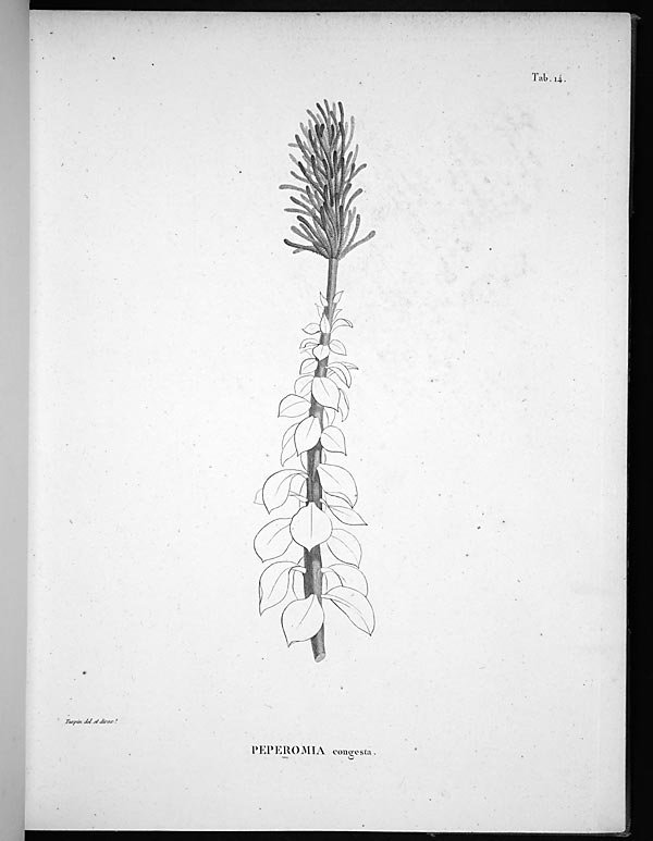 no full size  illustration available (3a)