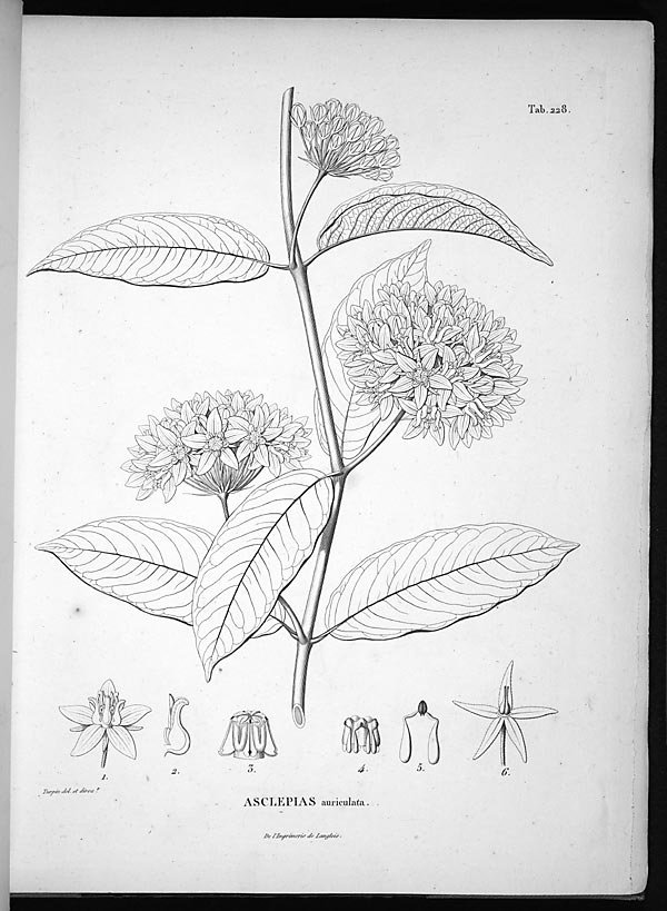 no full size  illustration available (3a)