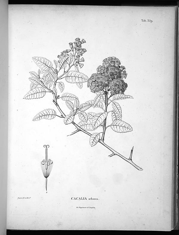 no full size  illustration available (3a)