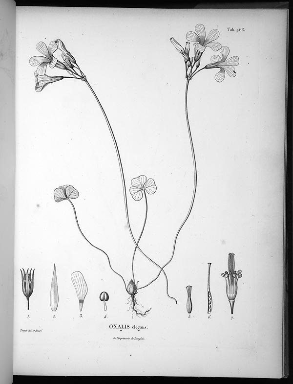 no full size  illustration available (3a)