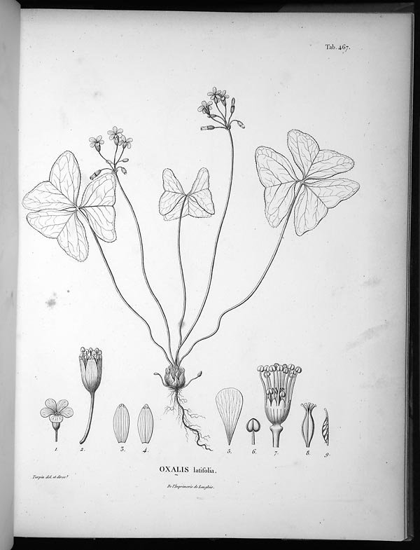 no full size  illustration available (3a)