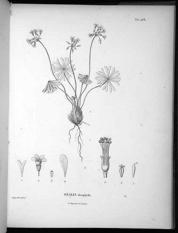 no full size  illustration available (3a)