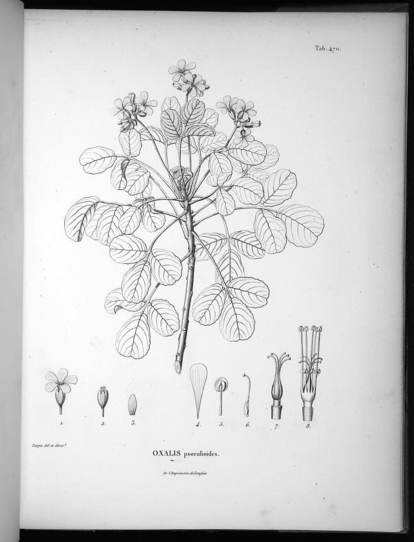 no full size  illustration available (3a)