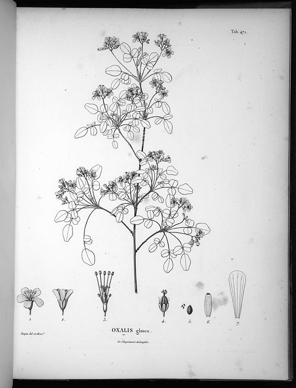 no full size  illustration available (3a)