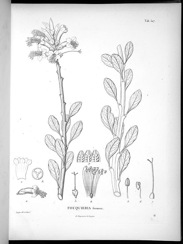 no full size  illustration available (3a)