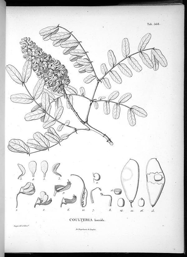 no full size  illustration available (3a)