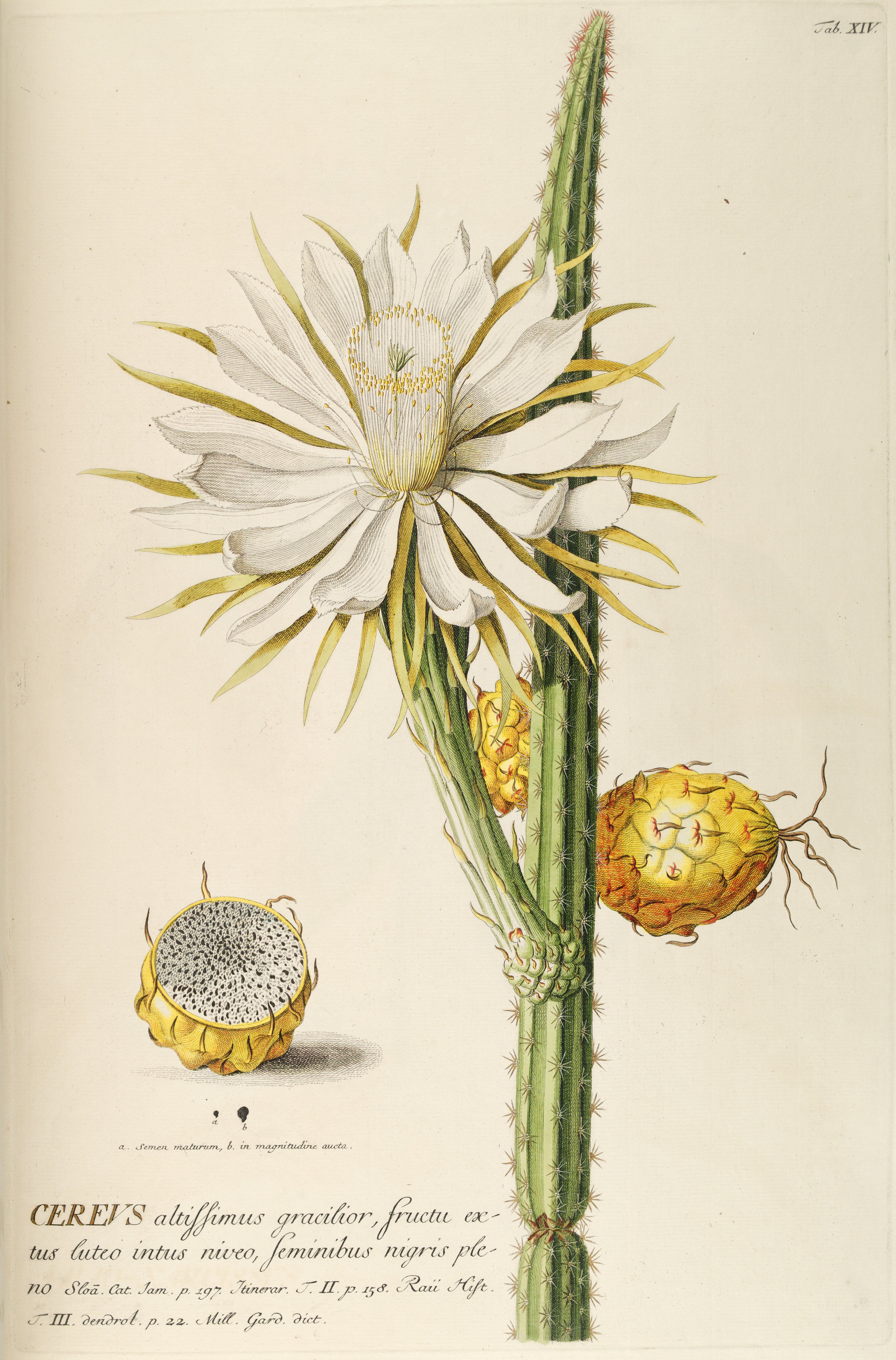 no full size  illustration available (3a)