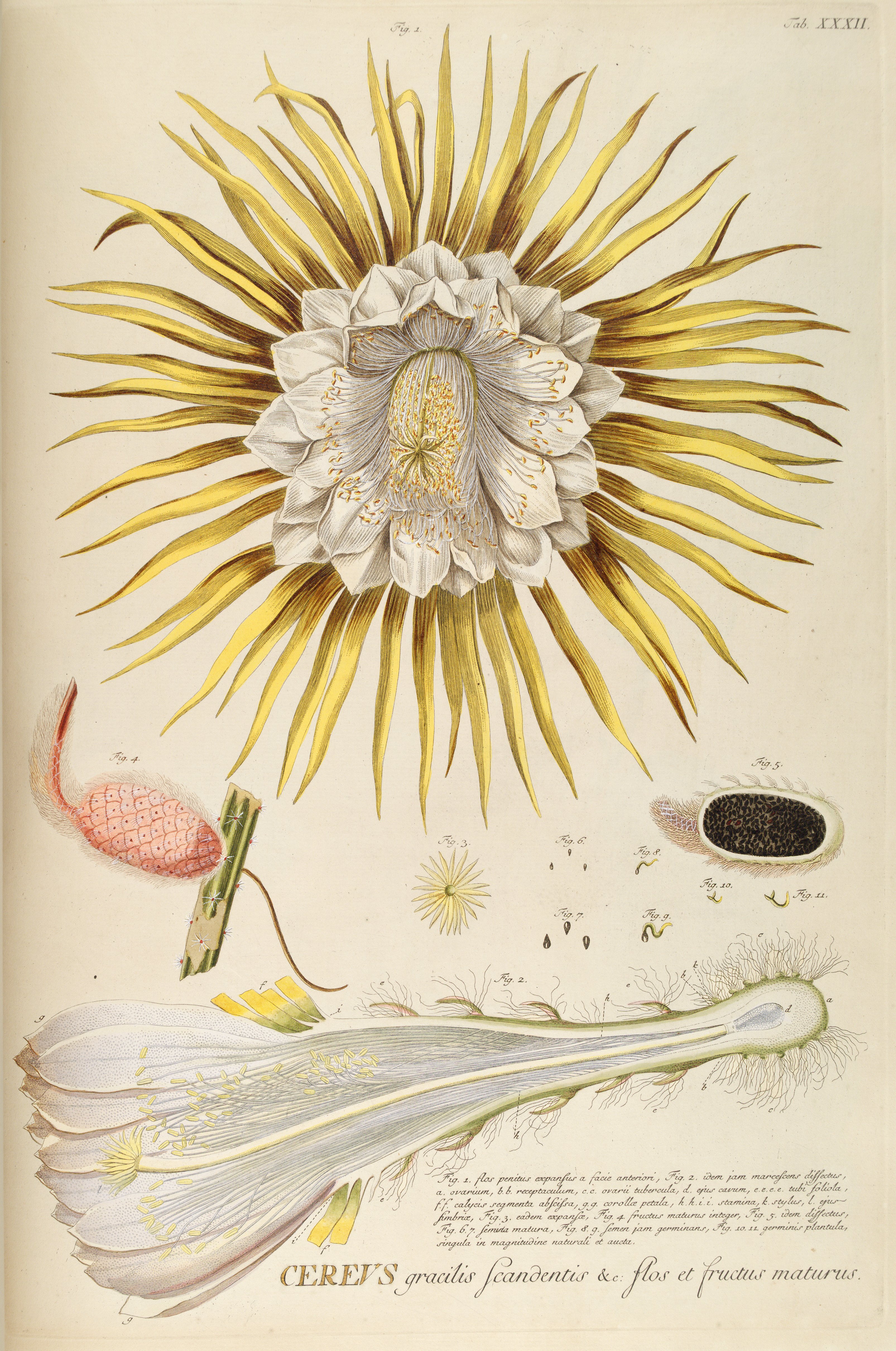 no full size  illustration available (3a)