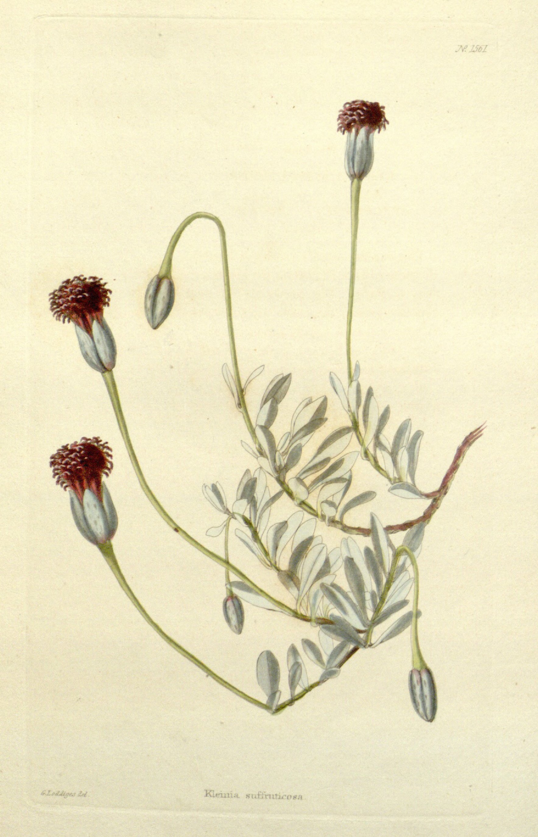 no full size  illustration available (3a)