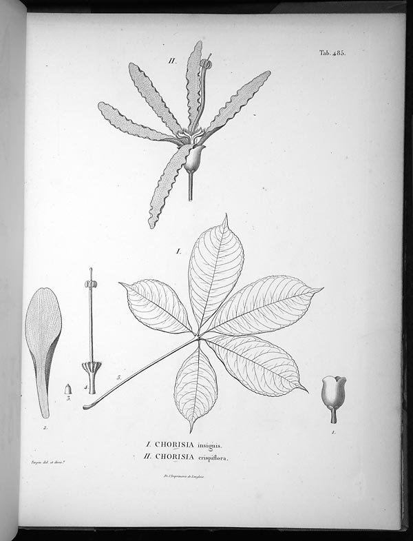 no full size  illustration available (3a)