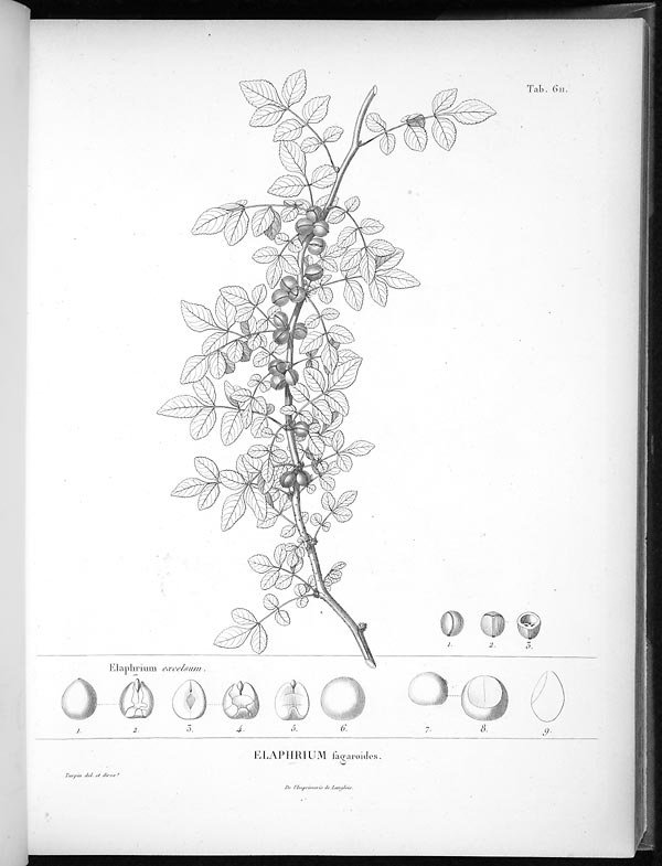 no full size  illustration available (3a)