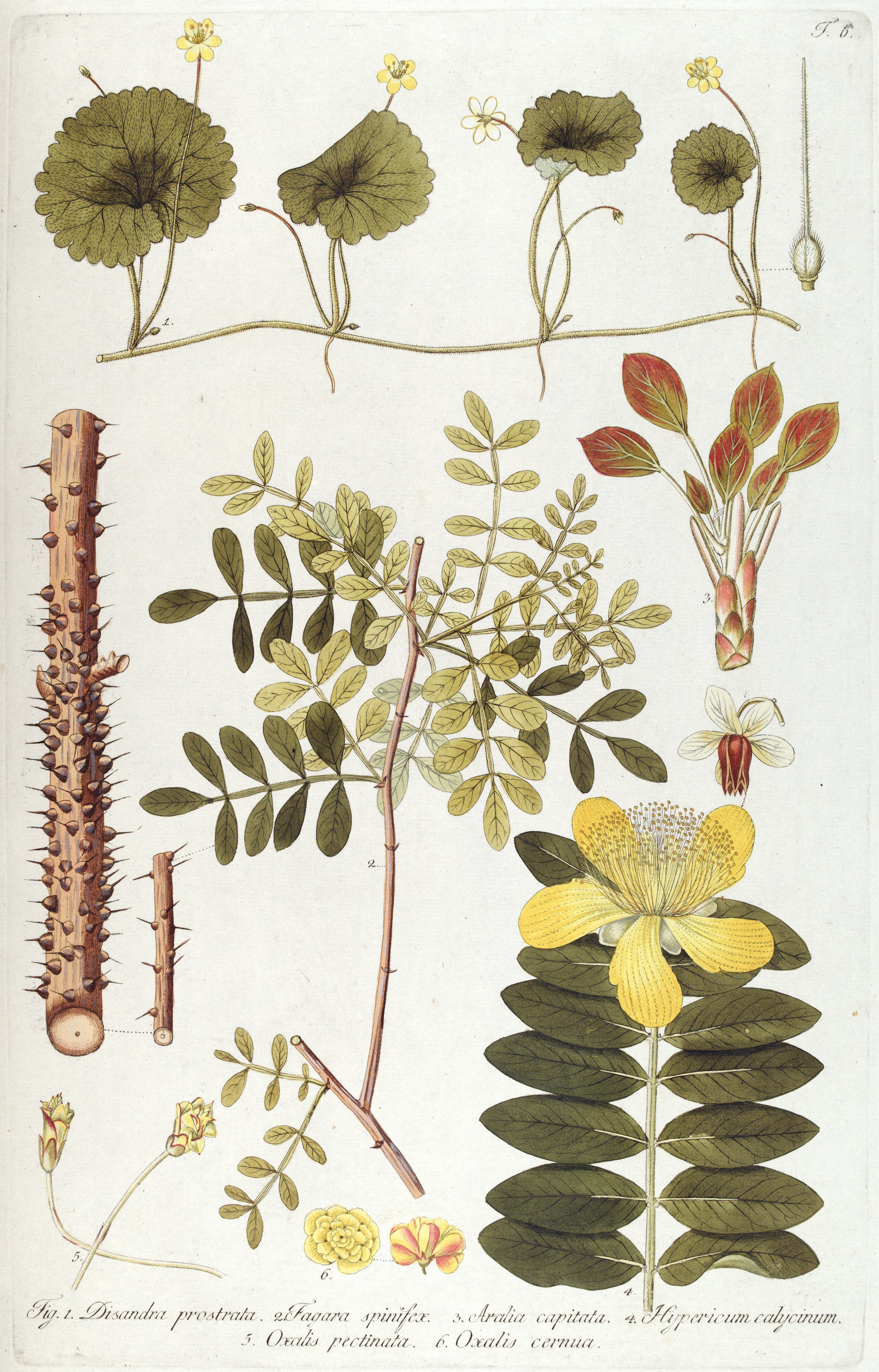 no full size  illustration available (3a)