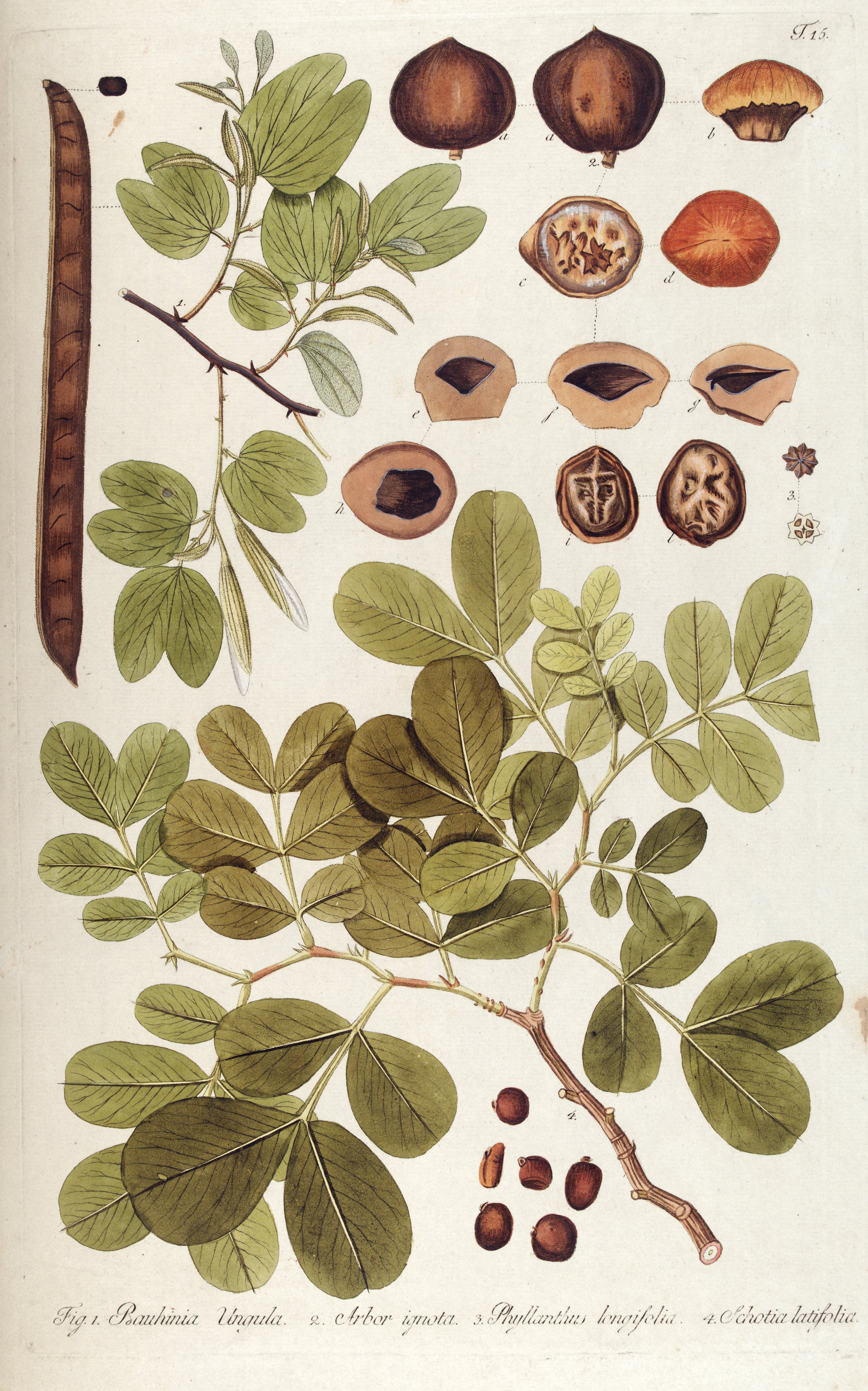 no full size  illustration available (3a)