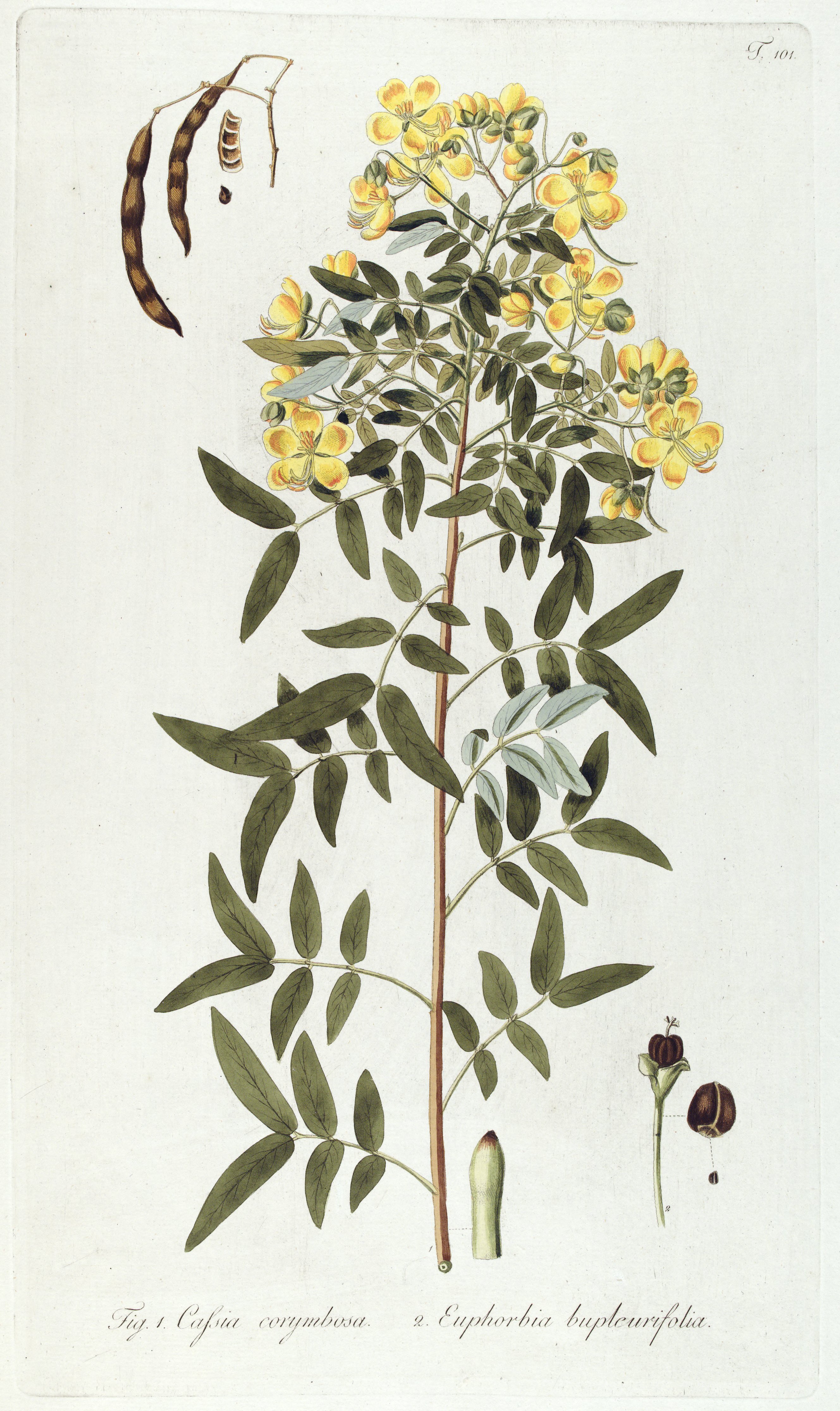 no full size  illustration available (3a)