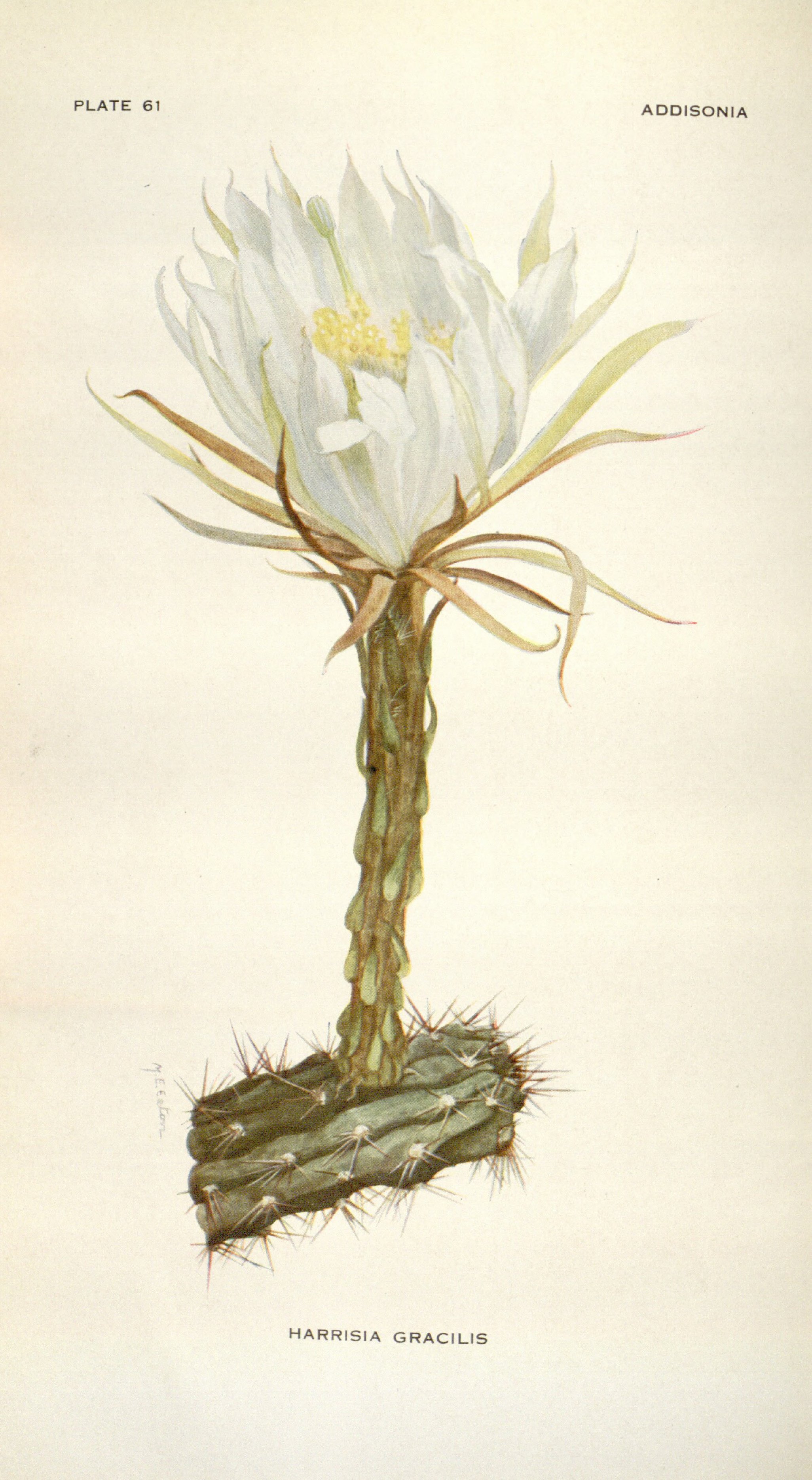 no full size  illustration available (3a)