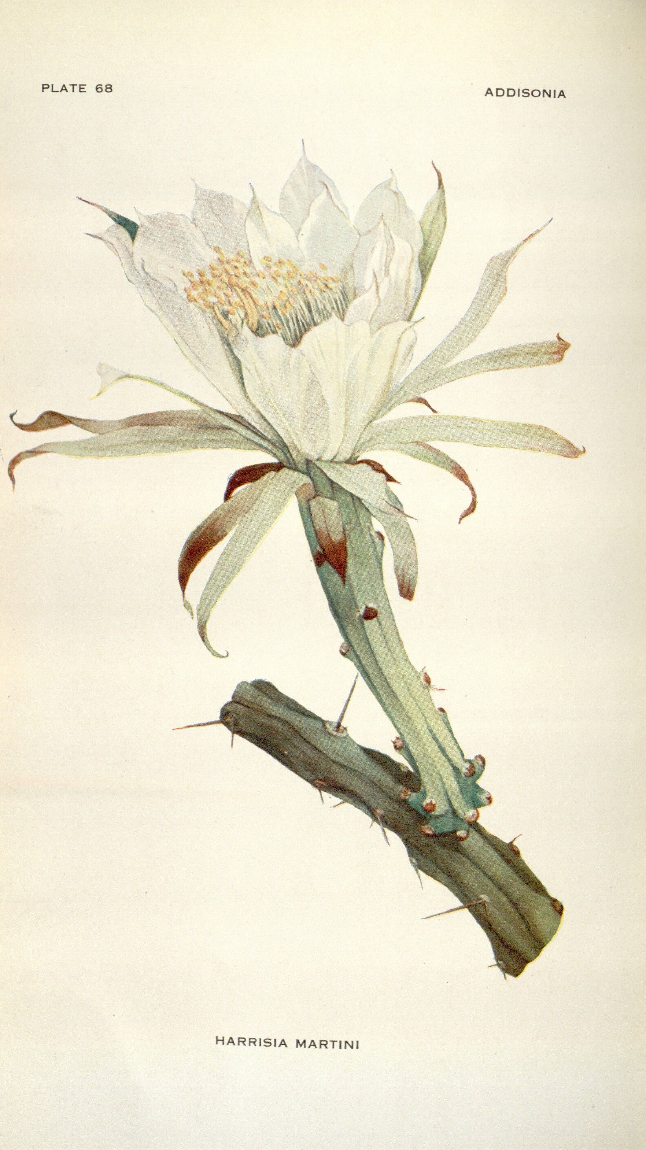 no full size  illustration available (3a)