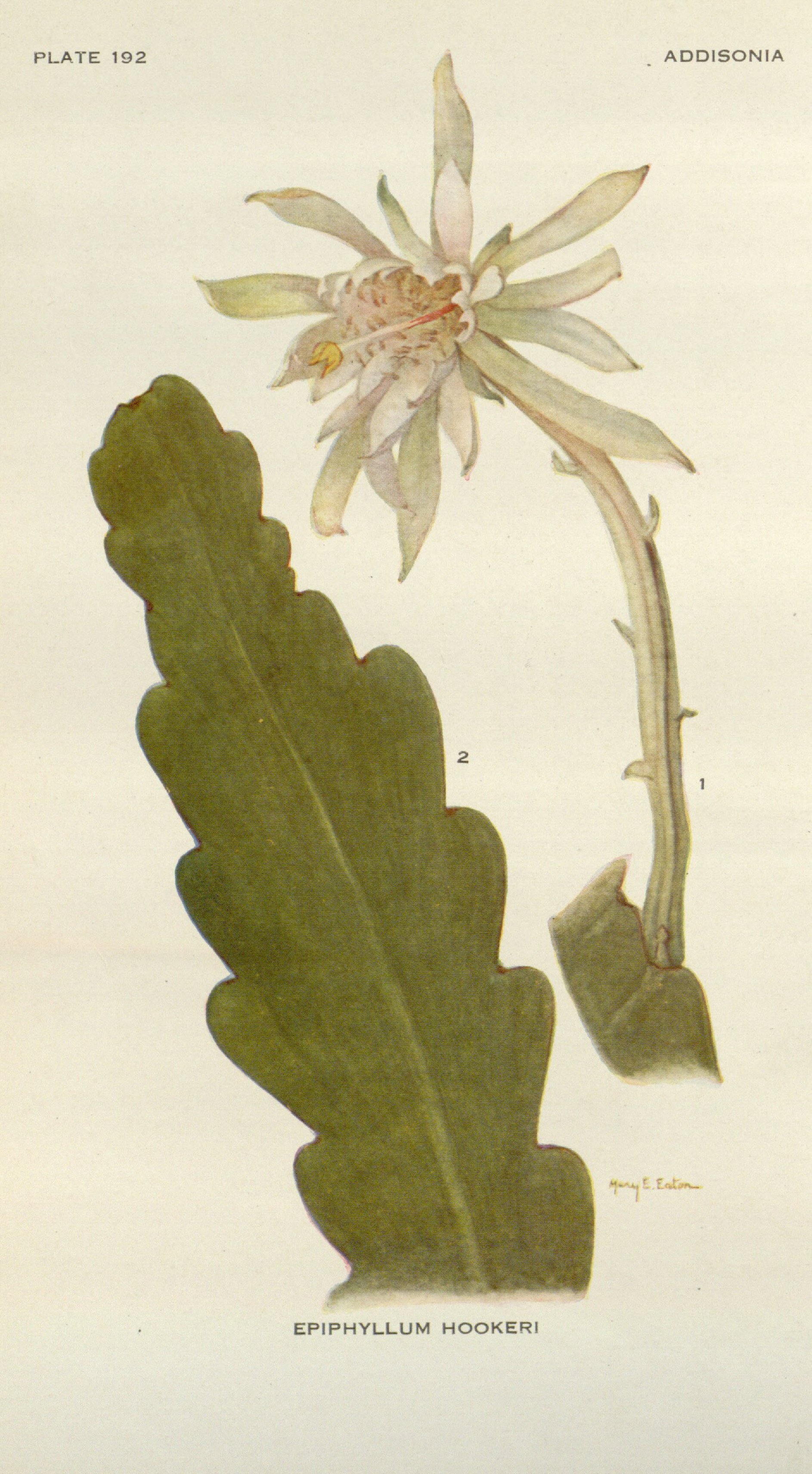 no full size  illustration available (3a)