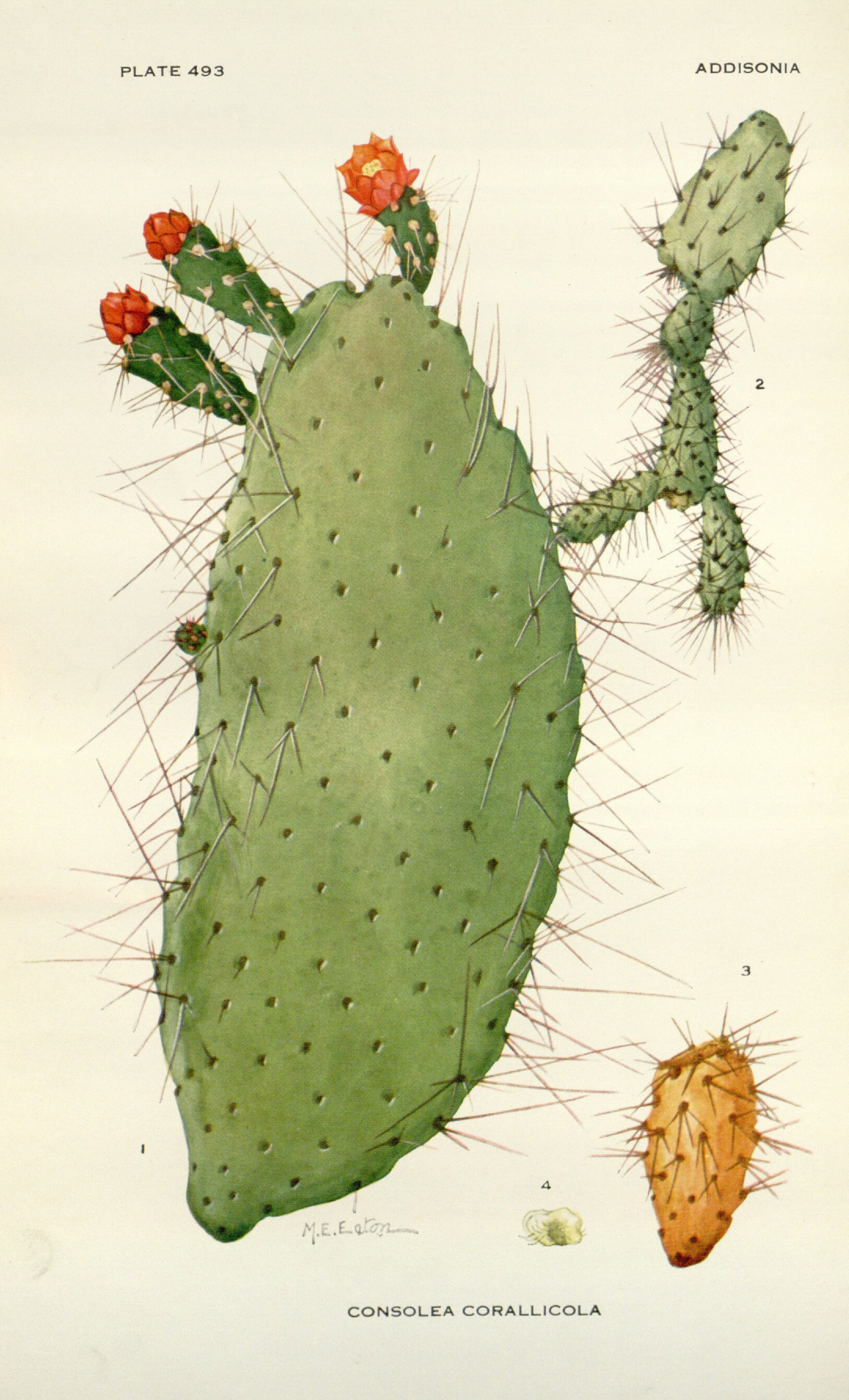 no full size  illustration available (3a)