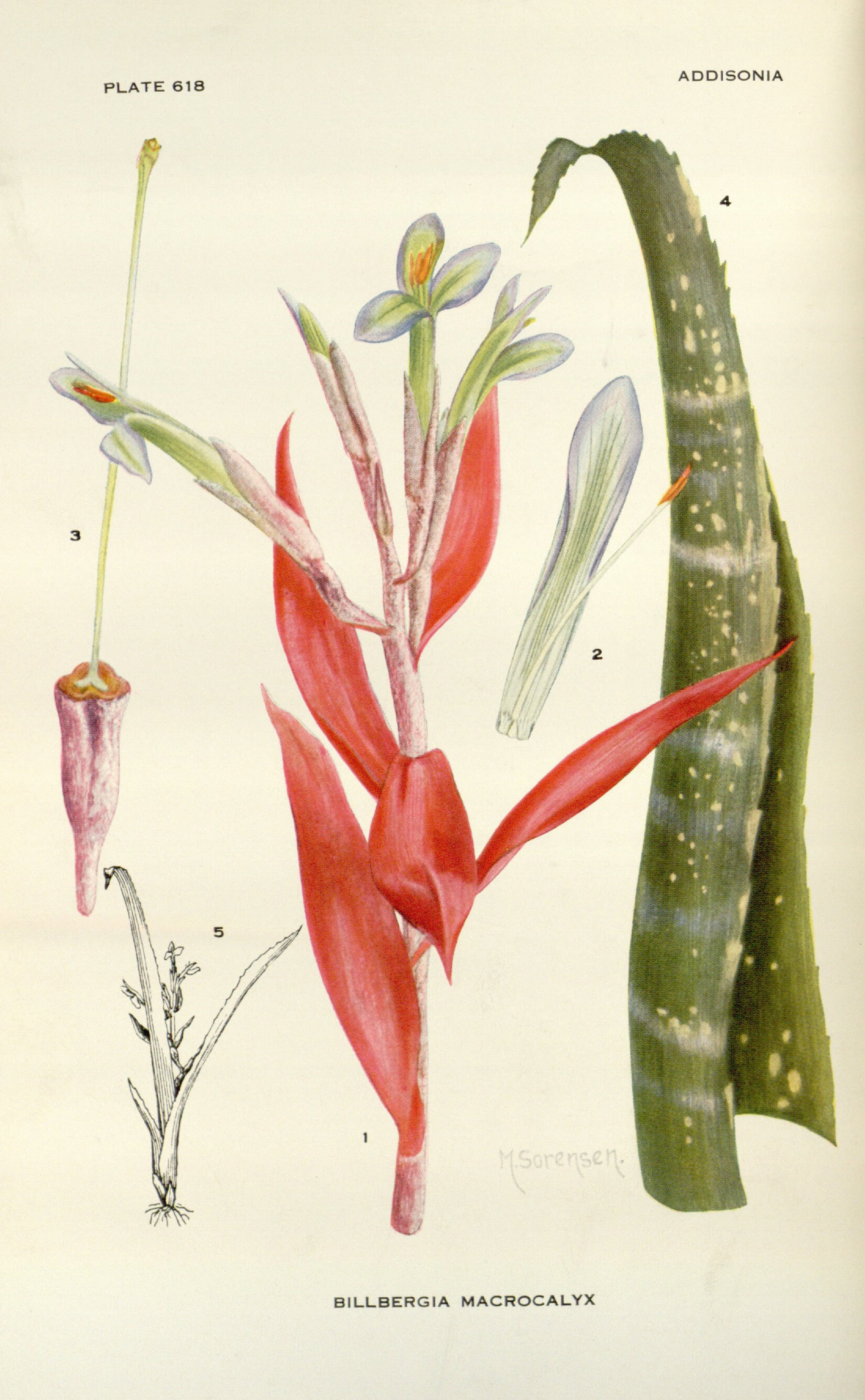 no full size  illustration available (3a)